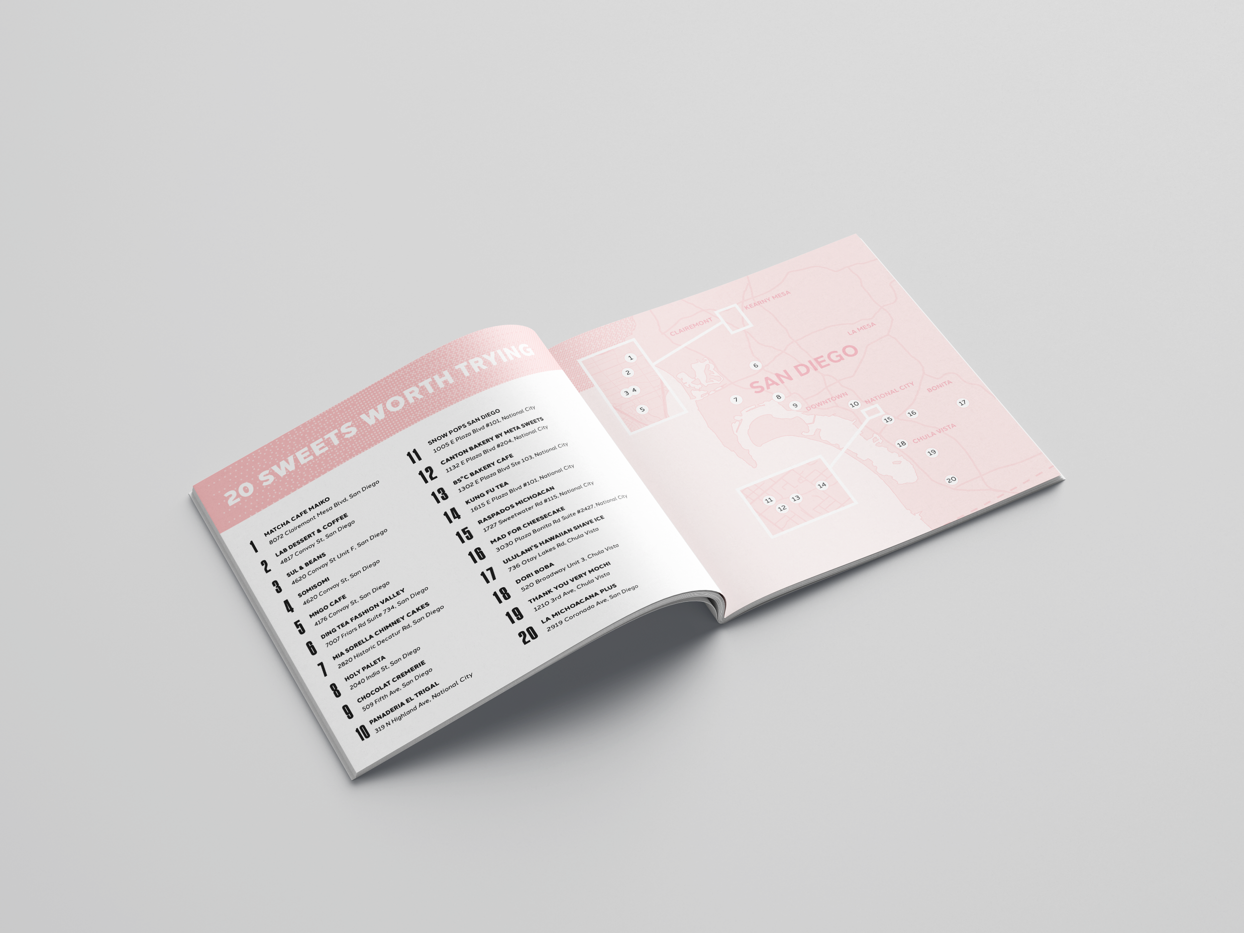 M Silahua_pg_mockup4.png_342 fall25.png