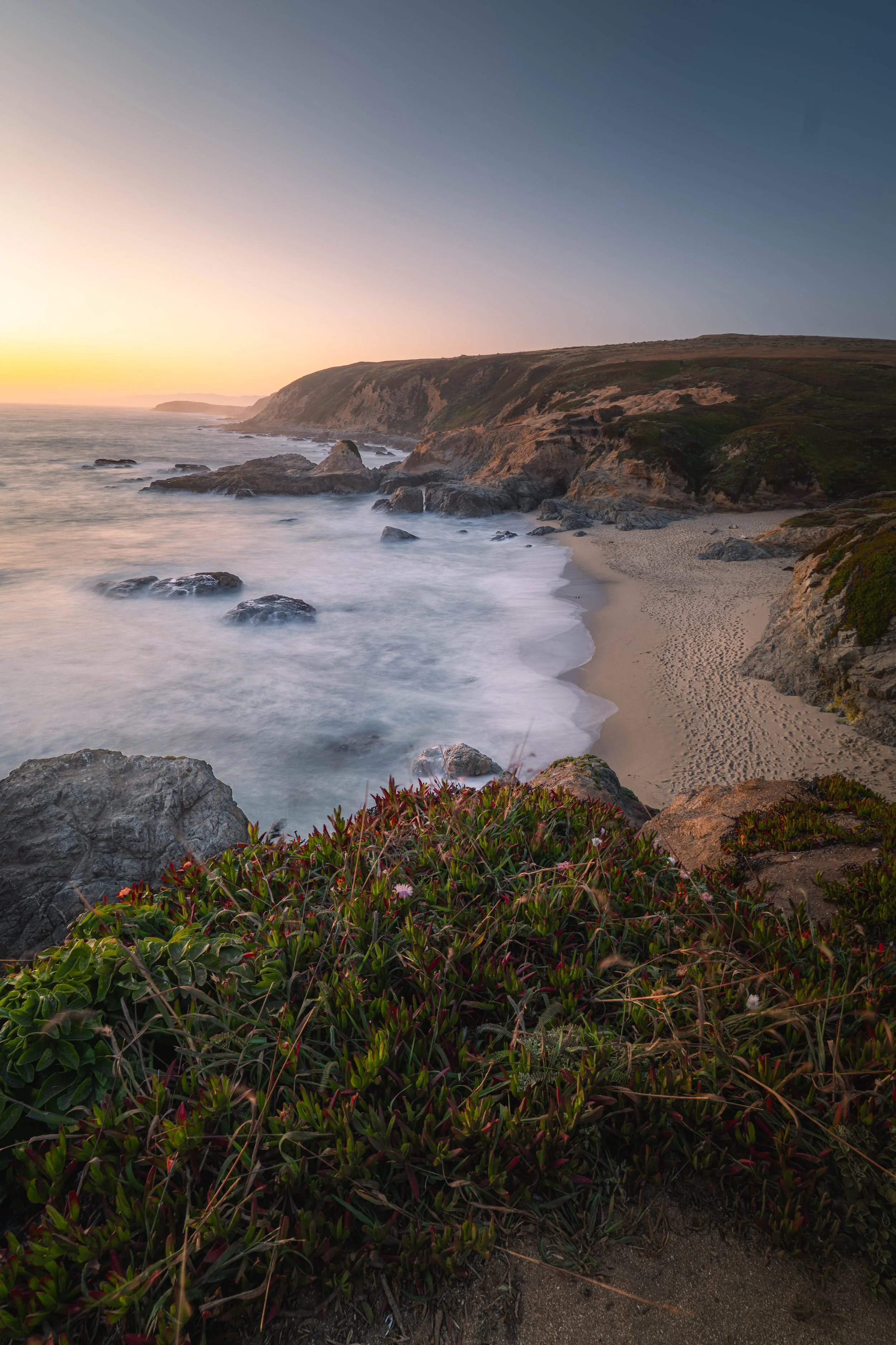 Bodega Bay 2026