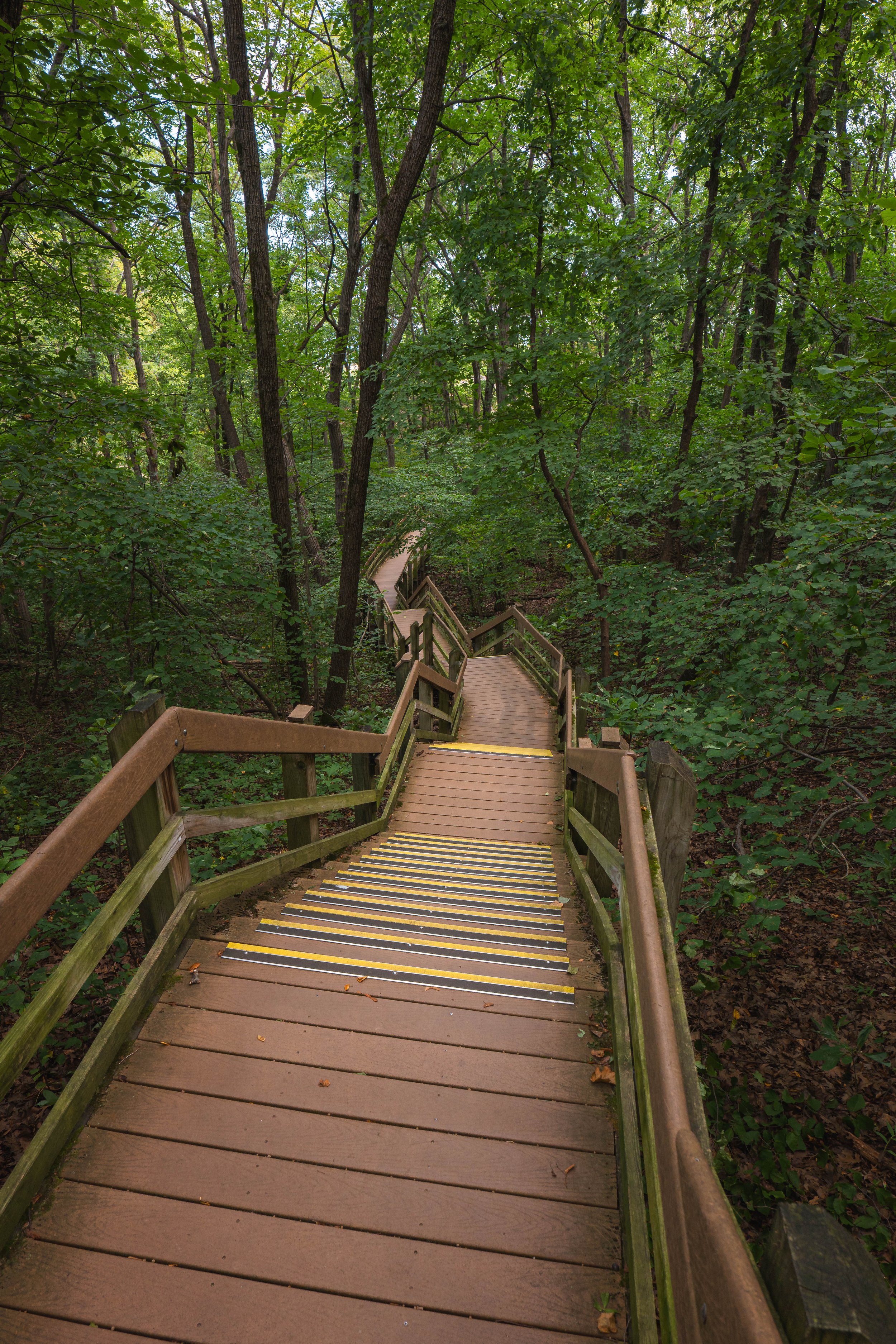Indiana Dunes National Park 2025