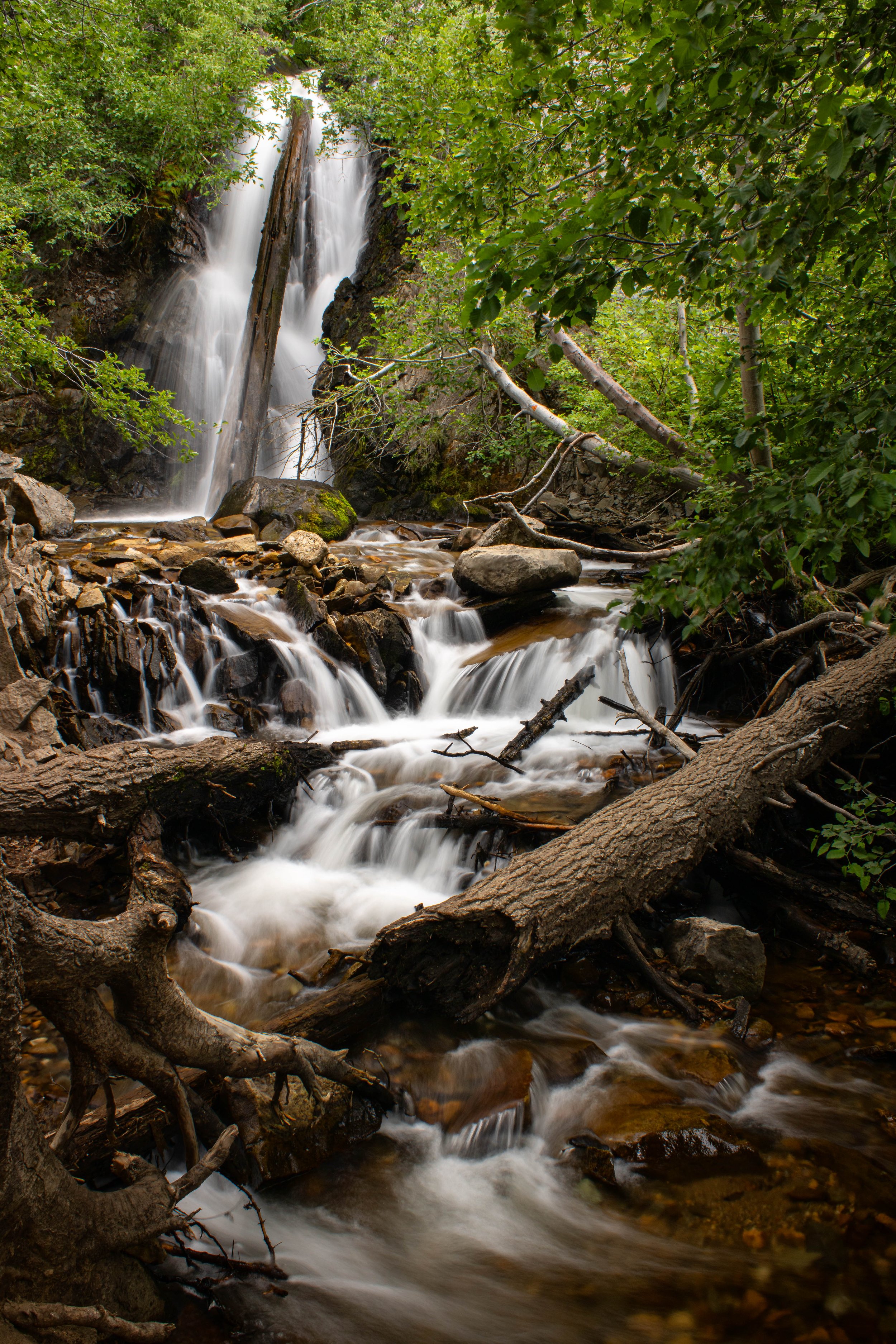 Hunter Creek Trail 2024