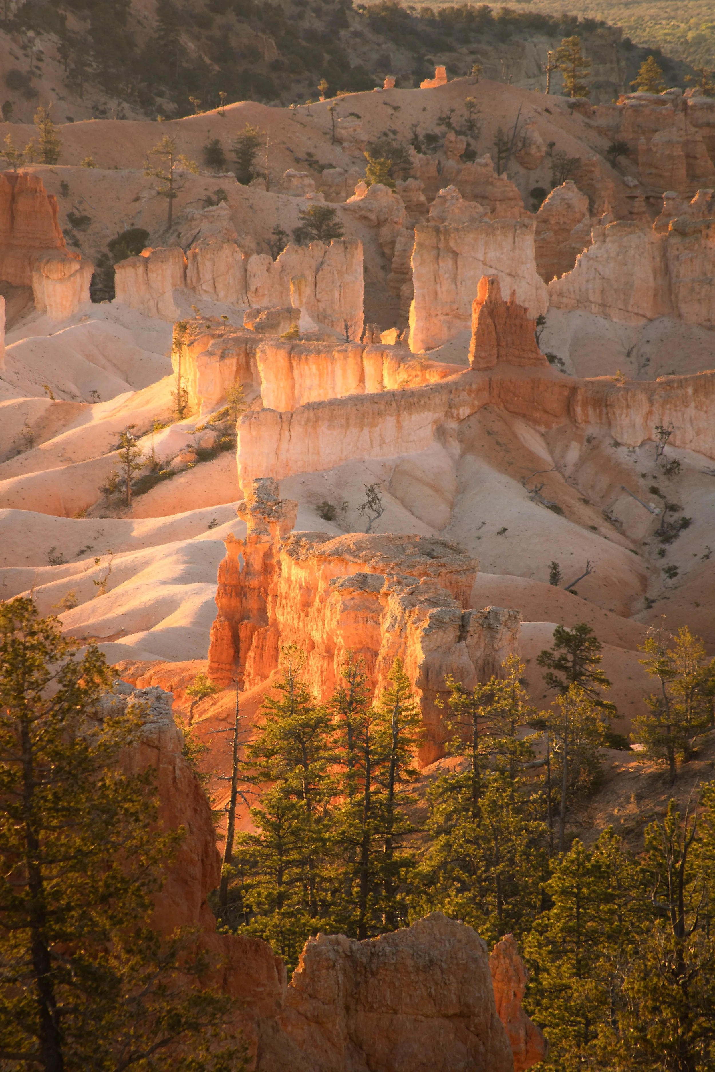 Bryce Canyon National Park 2022