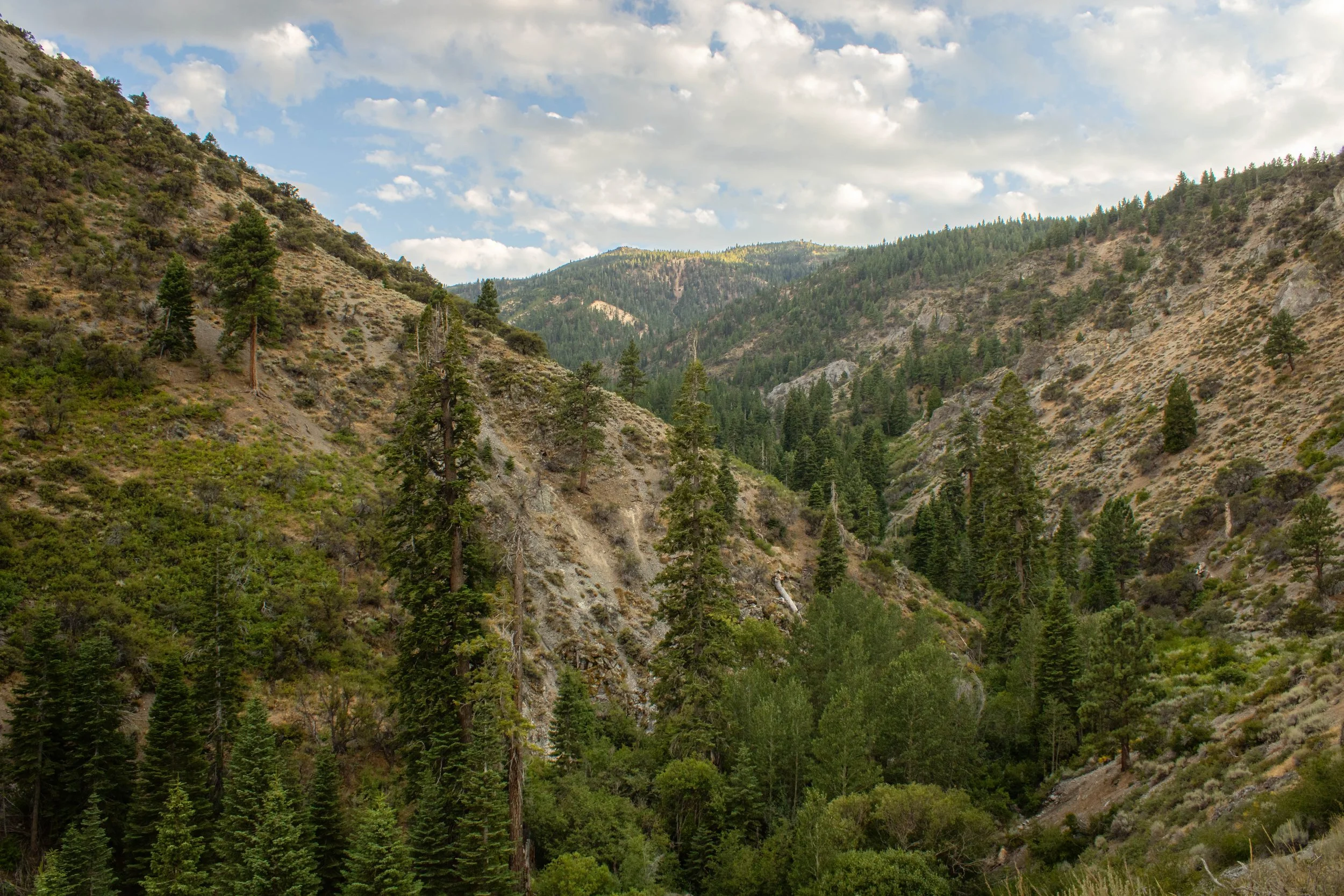 Hunter Creek Trail 2024