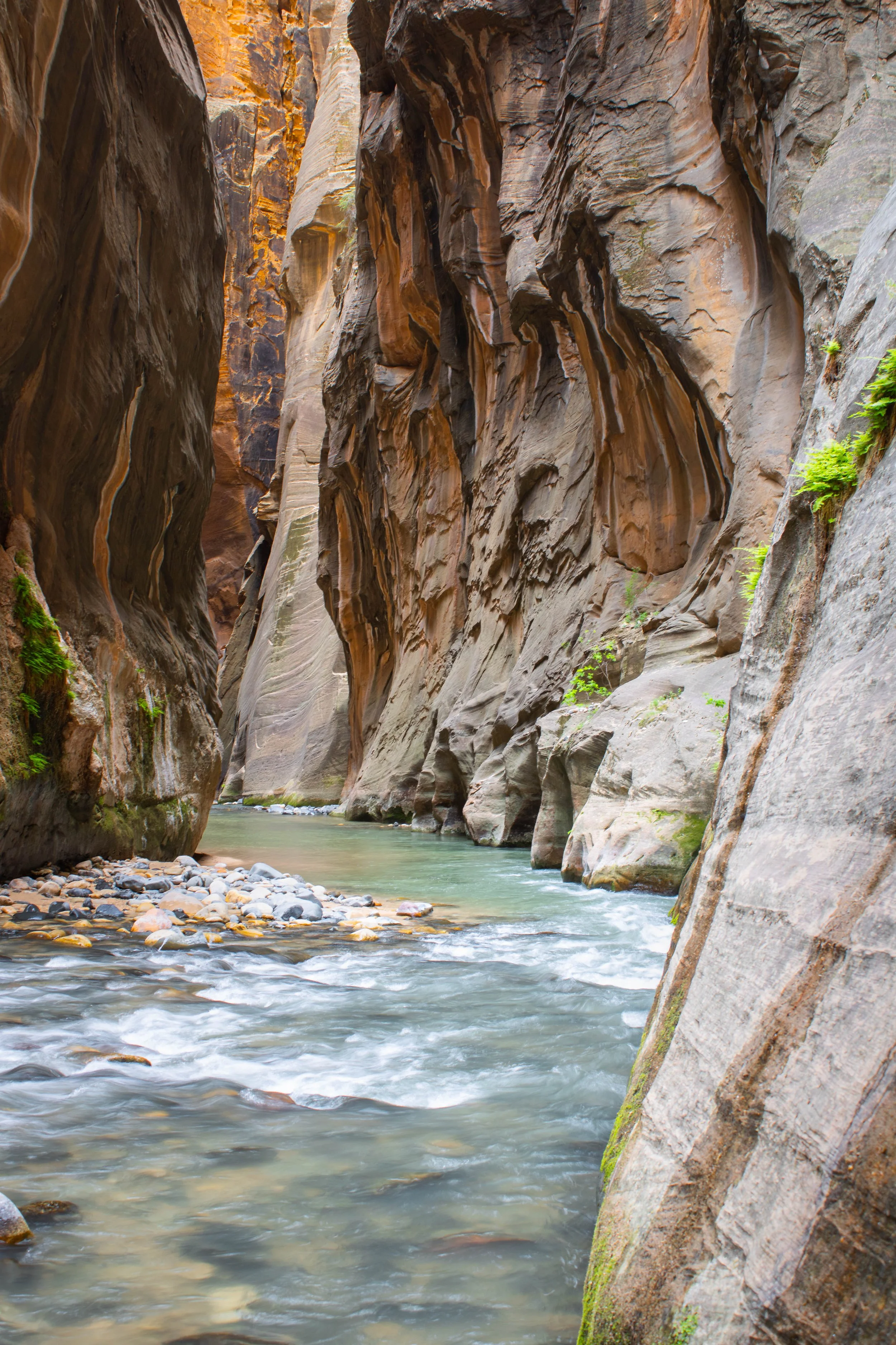 Zion National Park 2022