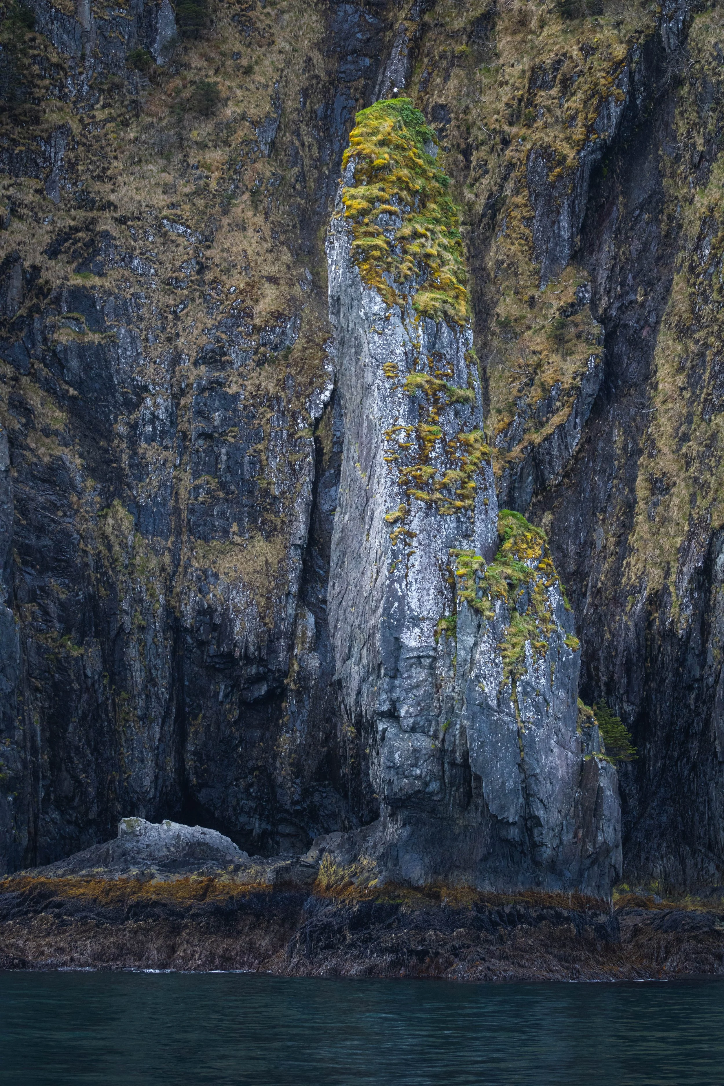 Kenai Fjords National Park 2024