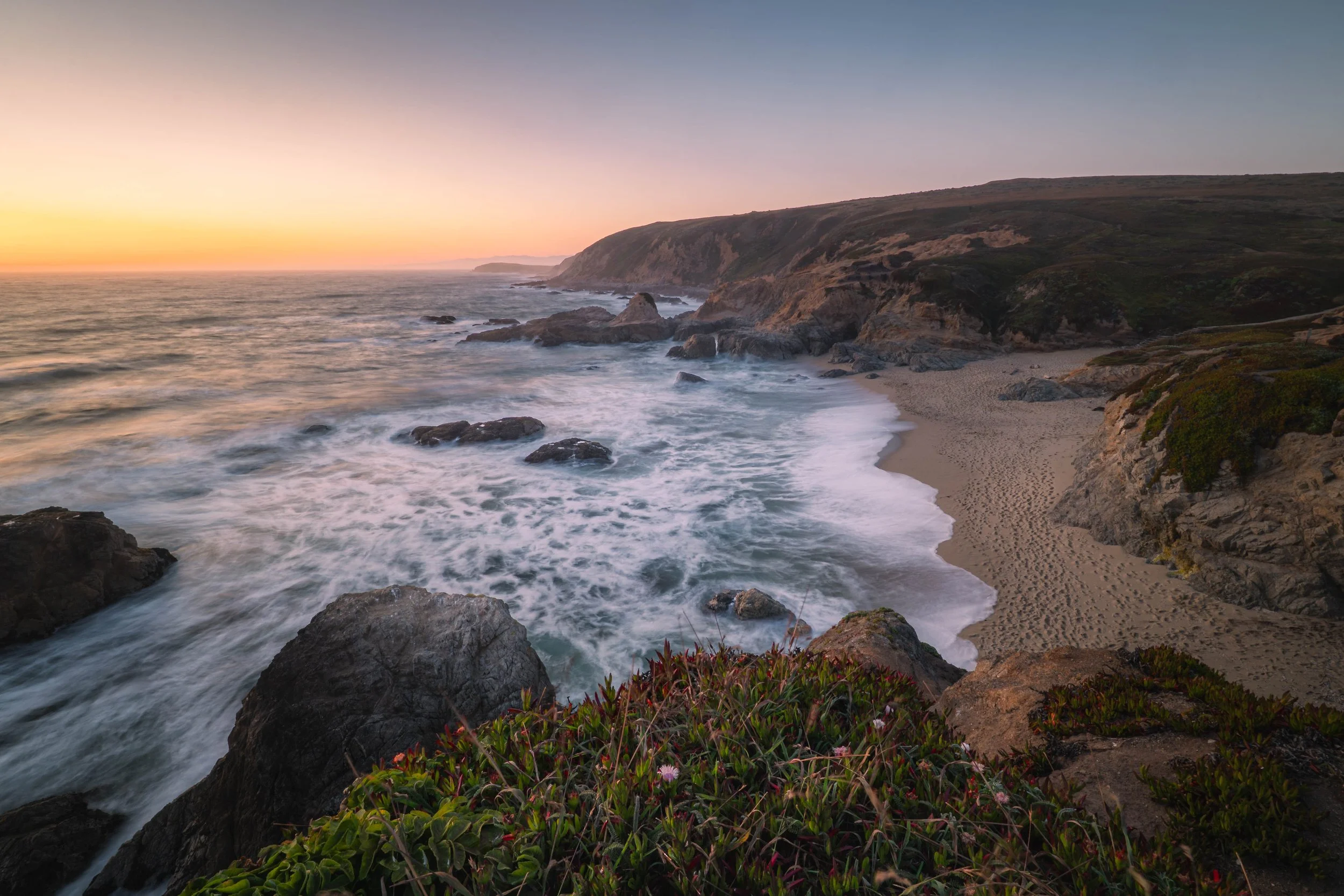 Bodega Bay 2026