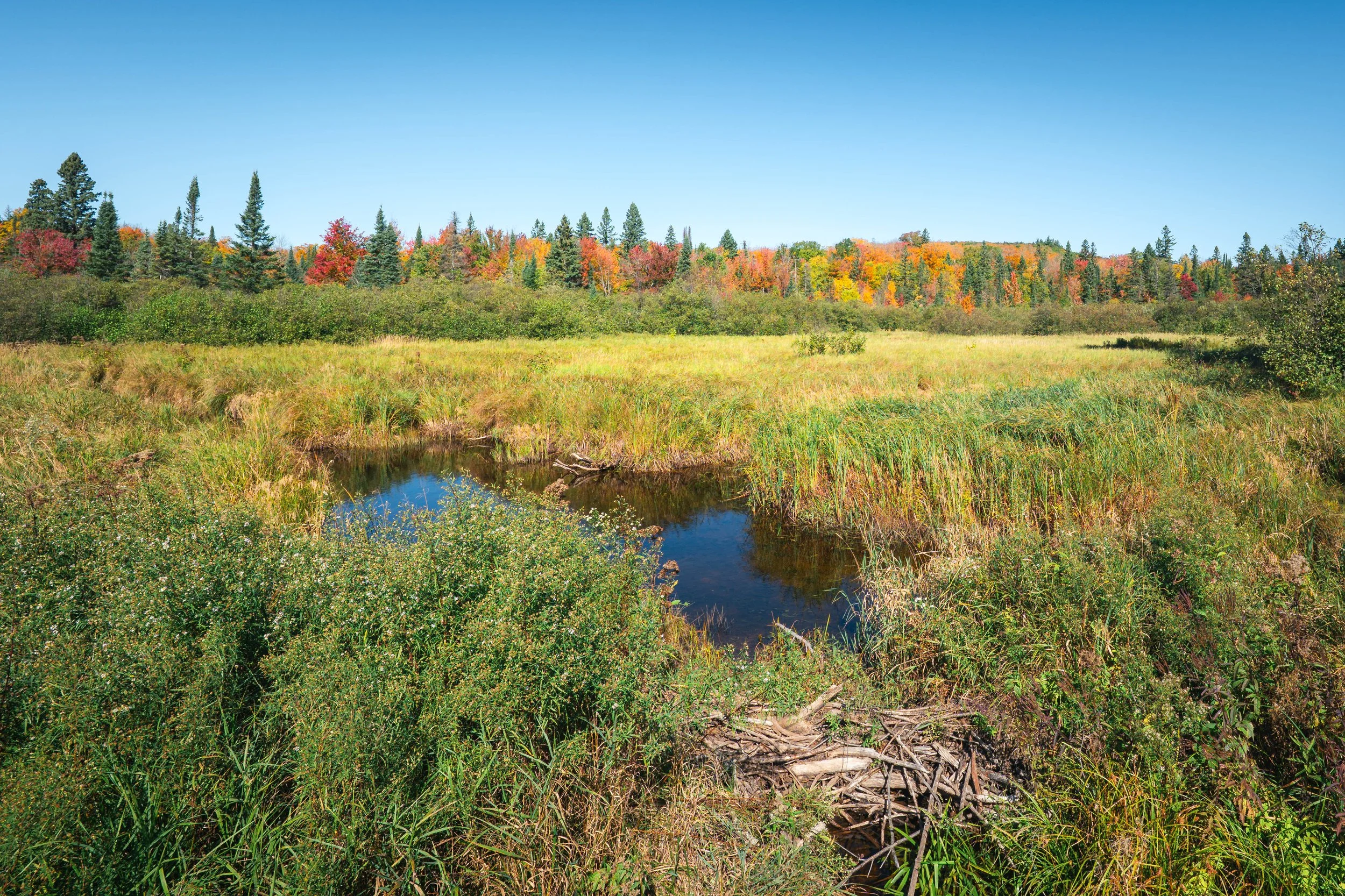 Porcupine Mountains 2025