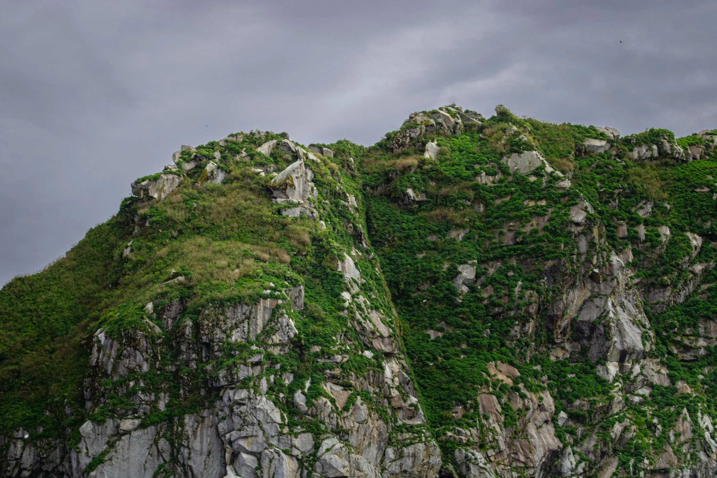 Kenai Fjords National Park 2024