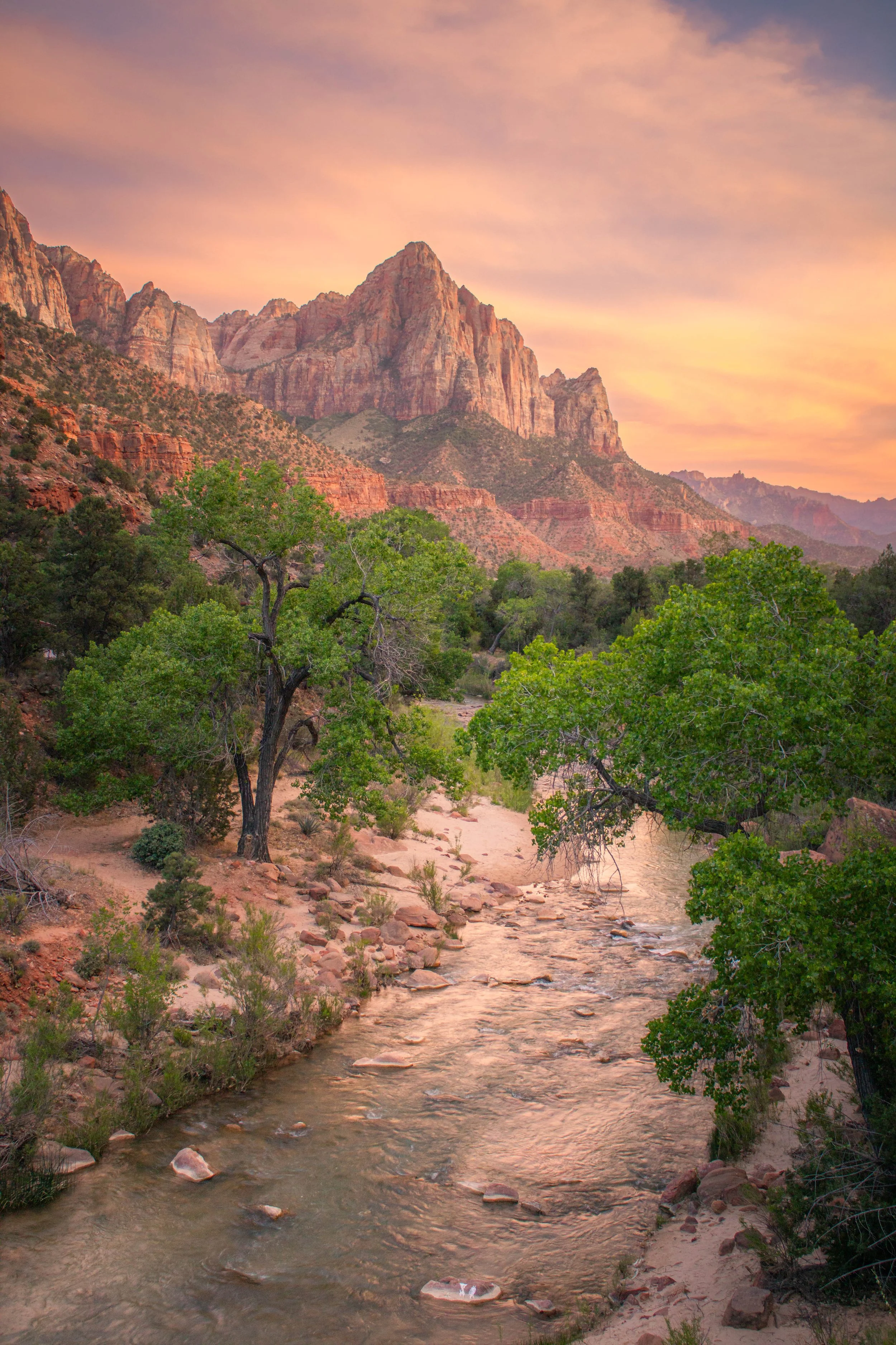 Zion National Park 2022