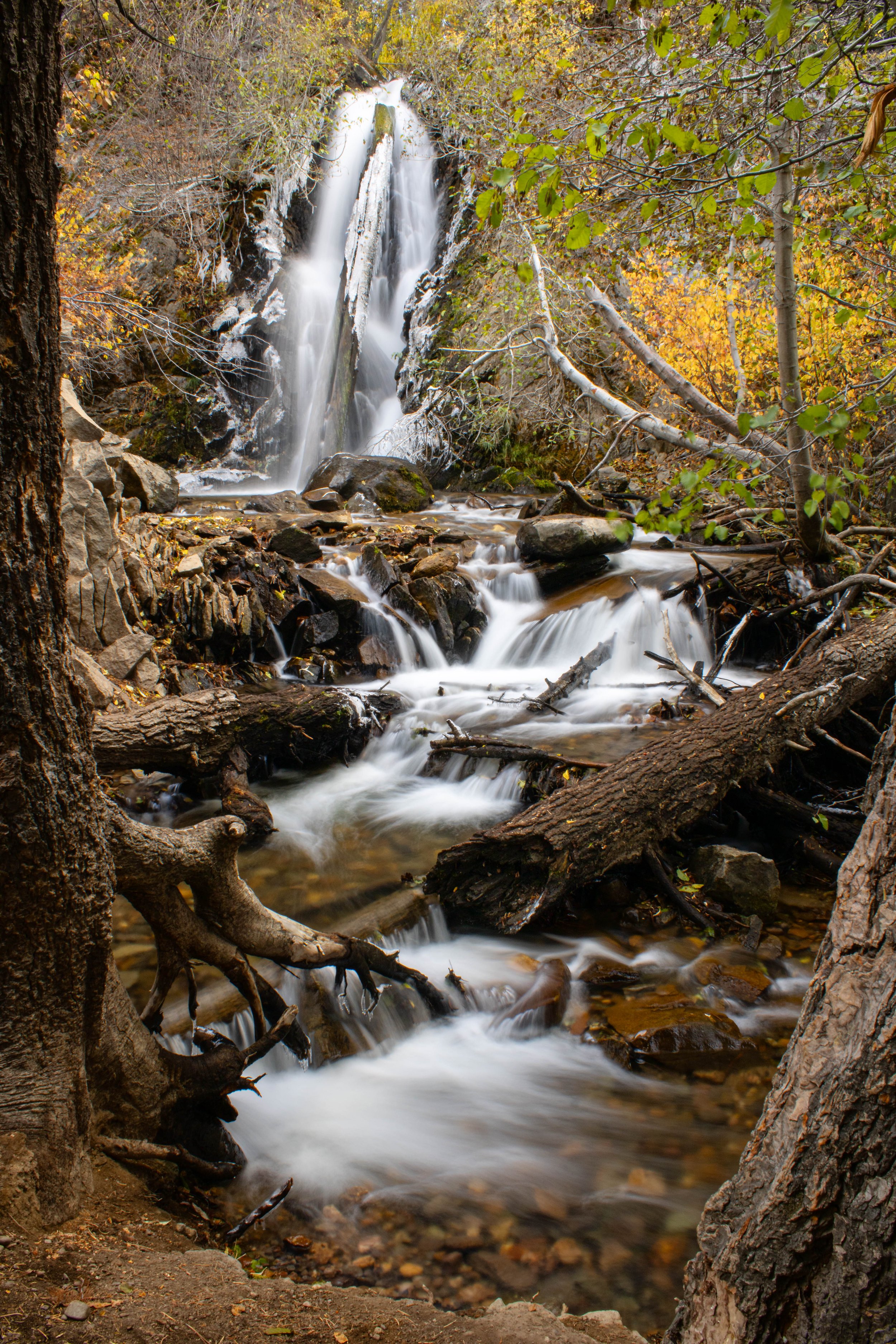 Hunter Creek Falls 2024