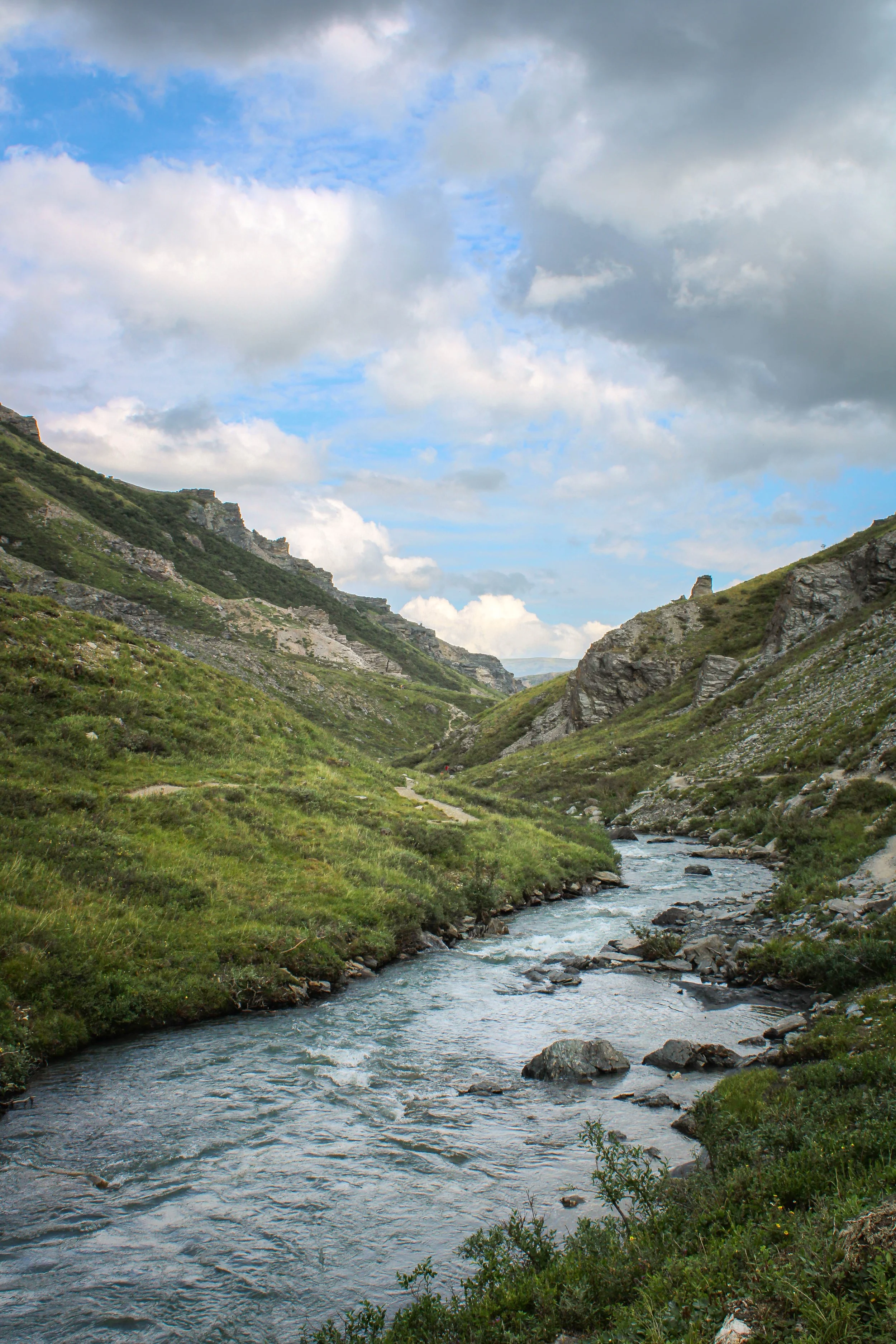 Denali National Park 2022