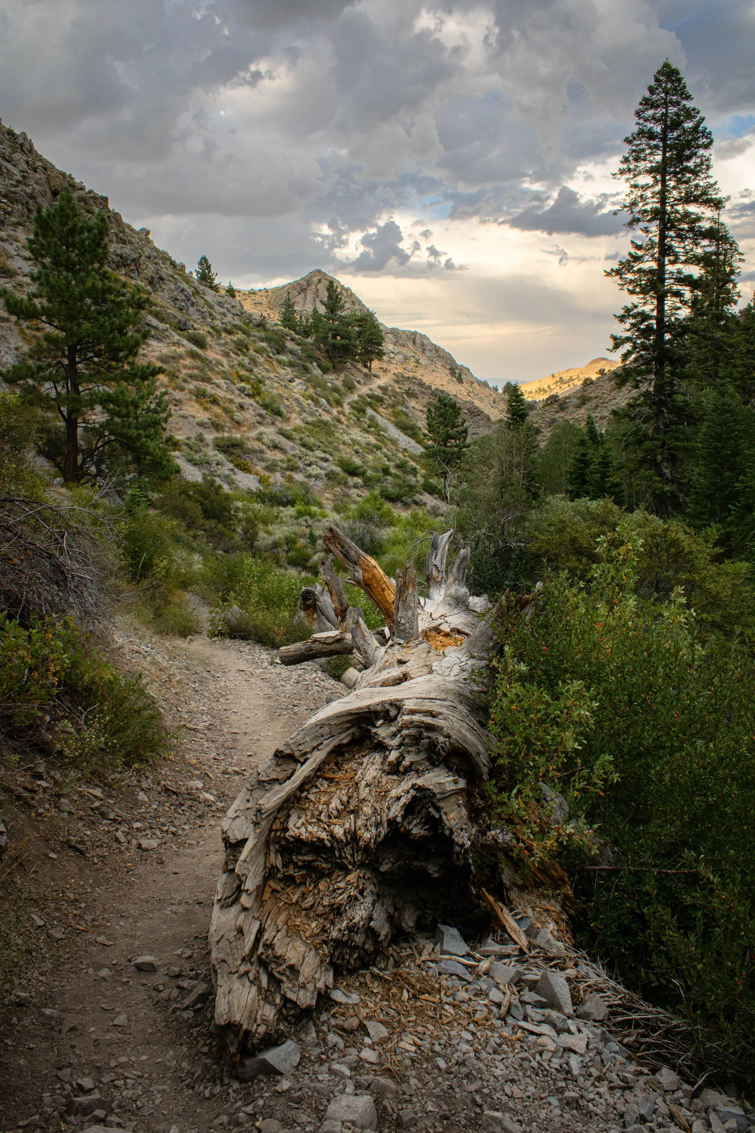 Hunter Creek Trail 2024