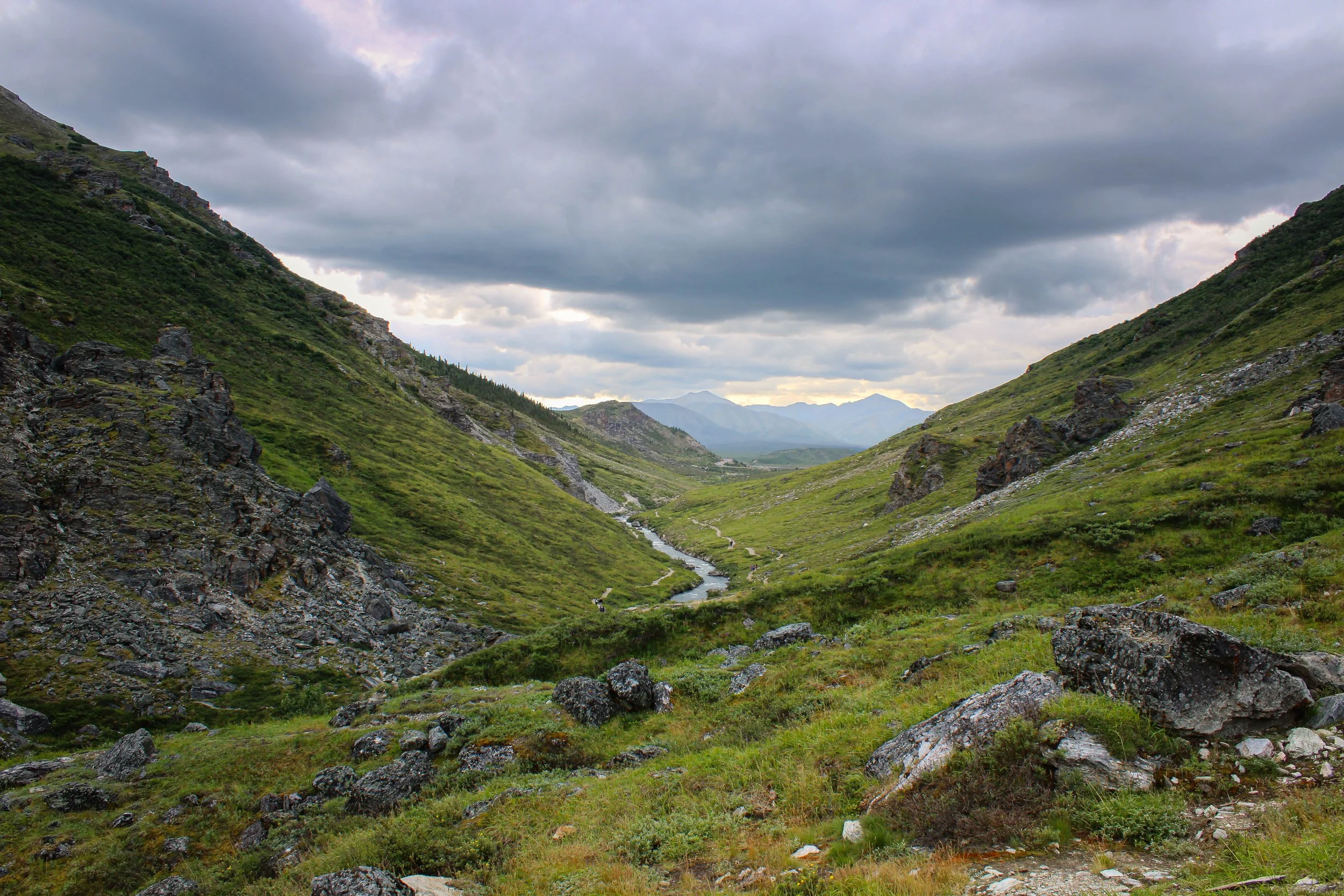 Denali National Park 2022