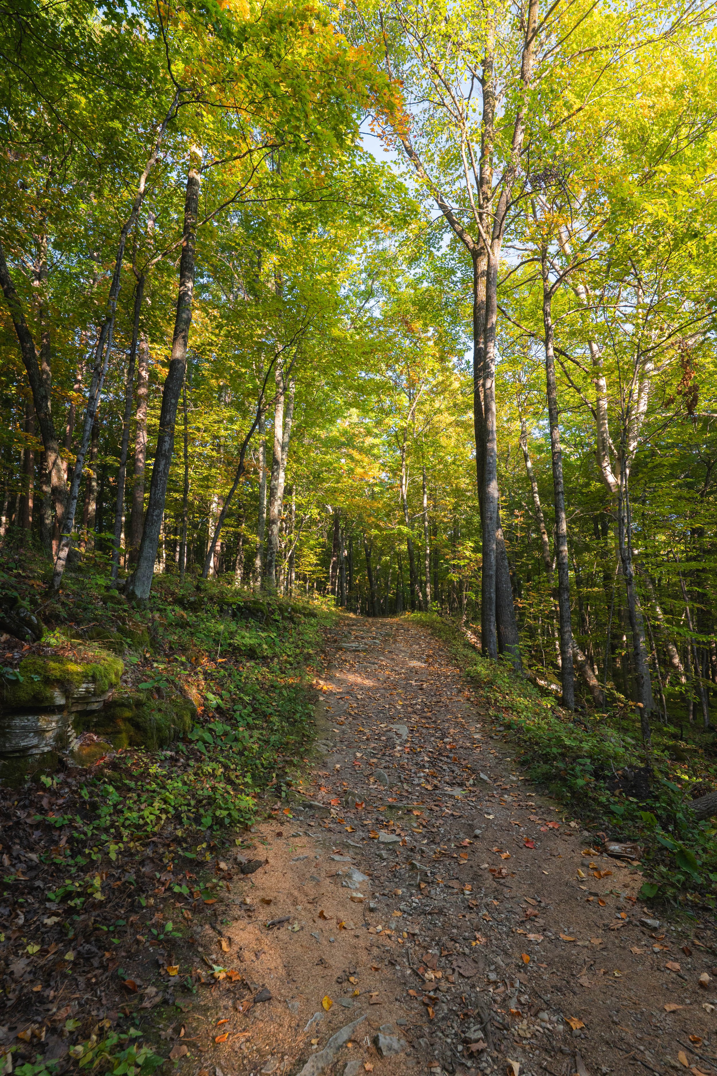 Potawatomi State Park 2025