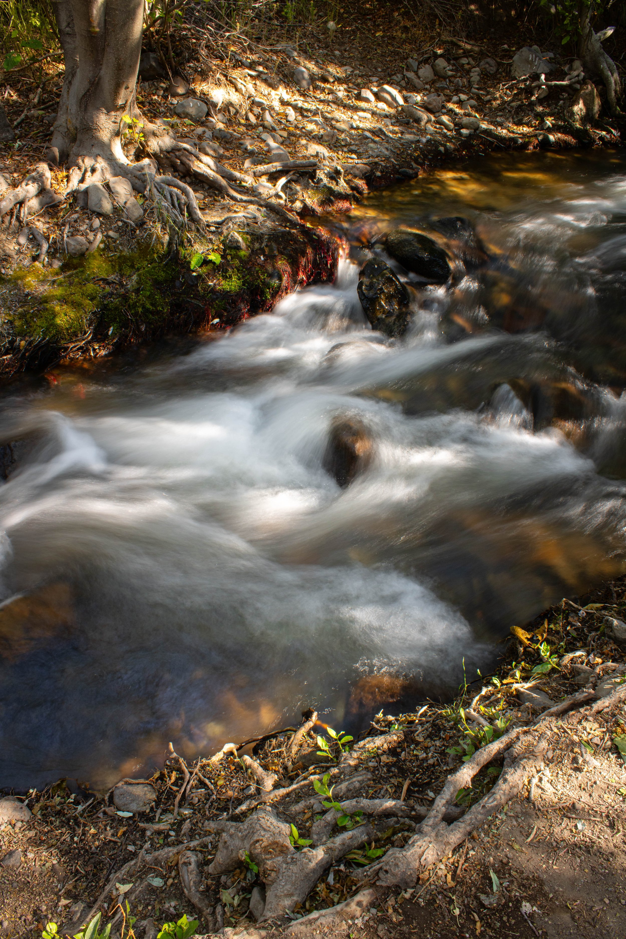 Hunter Creek Trail 2024
