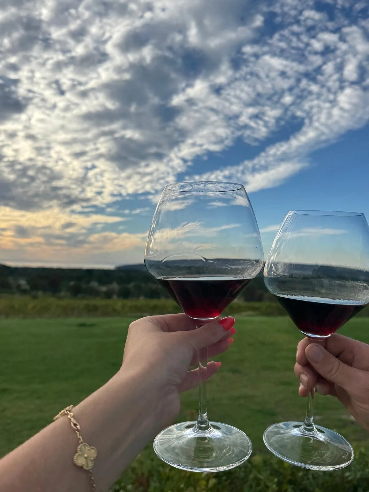Two people holding glasses of red wine outdoors with a green landscape and a partly cloudy sky in the background.