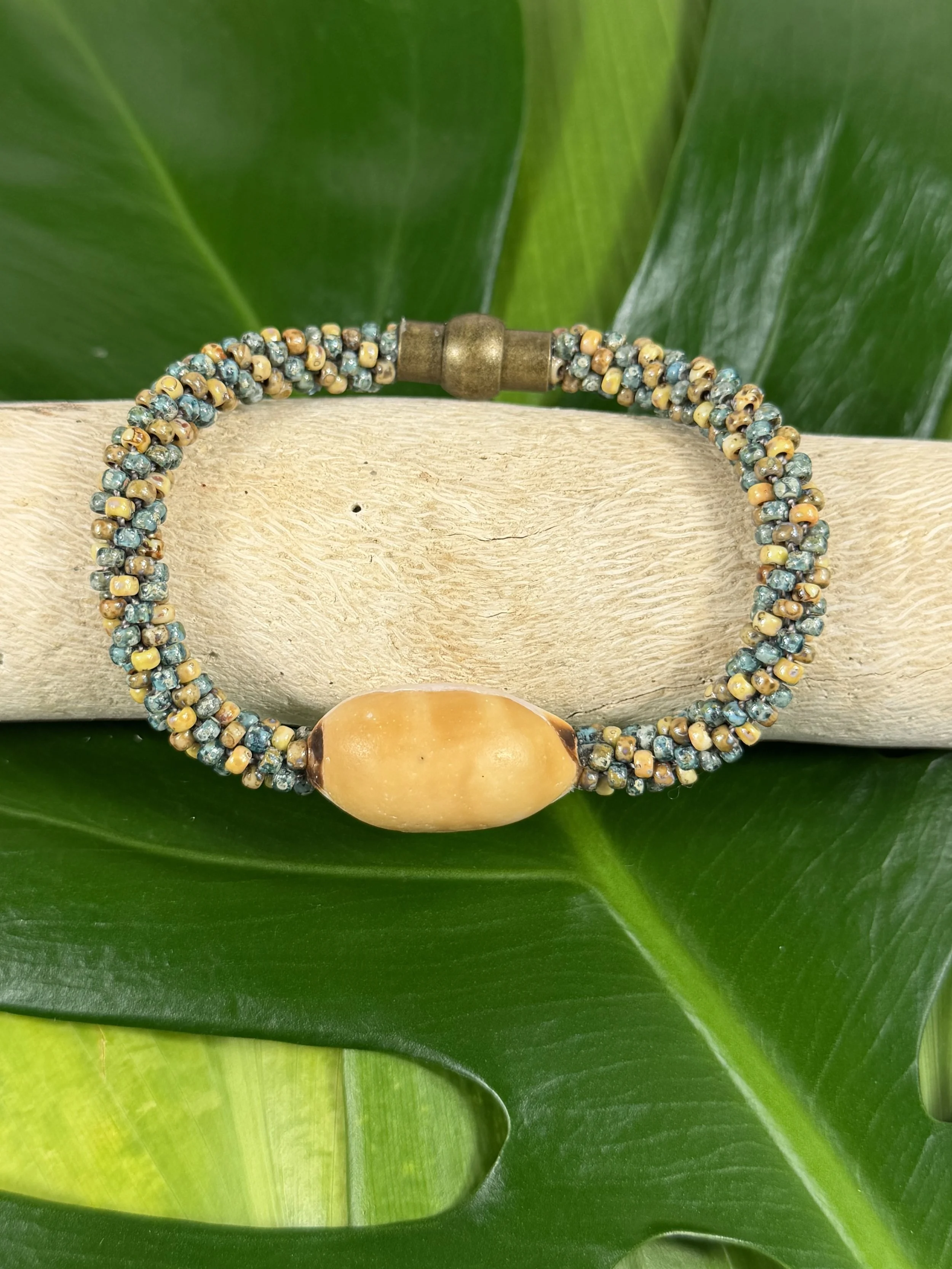 8¼ Cowrie Shell Teal Spiral