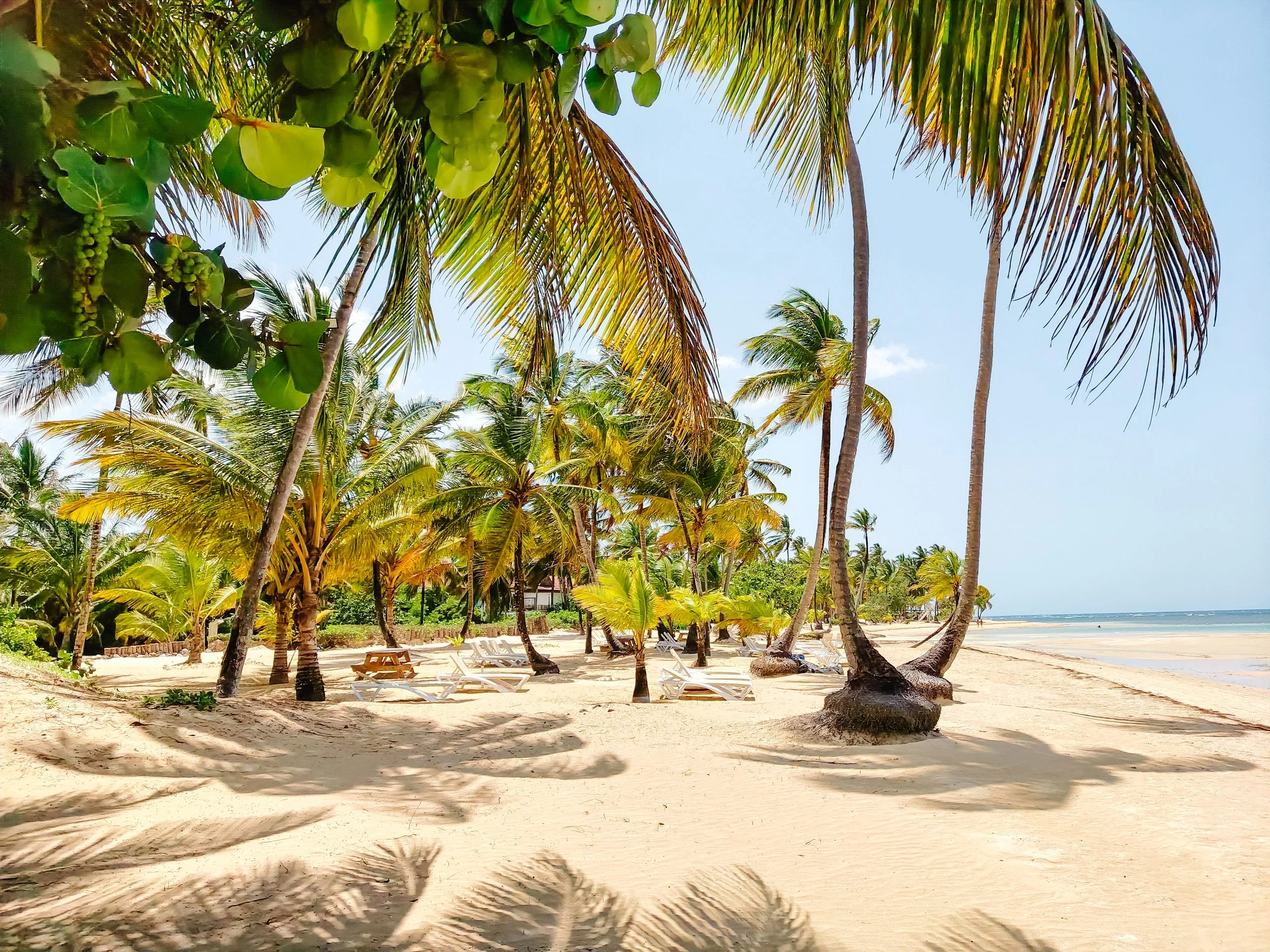 Dominican Republic