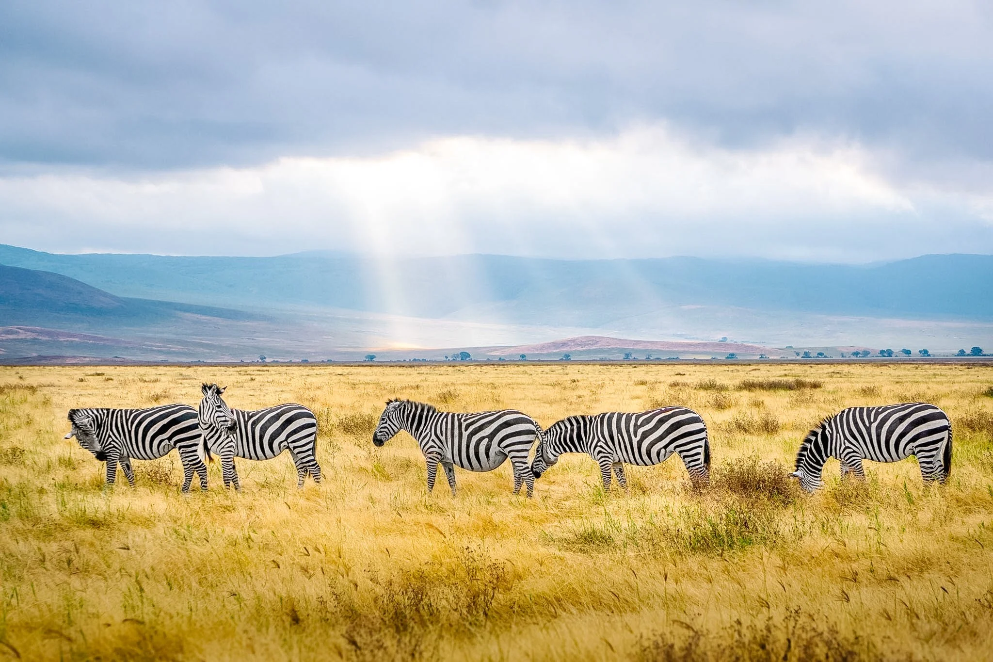 Kenya