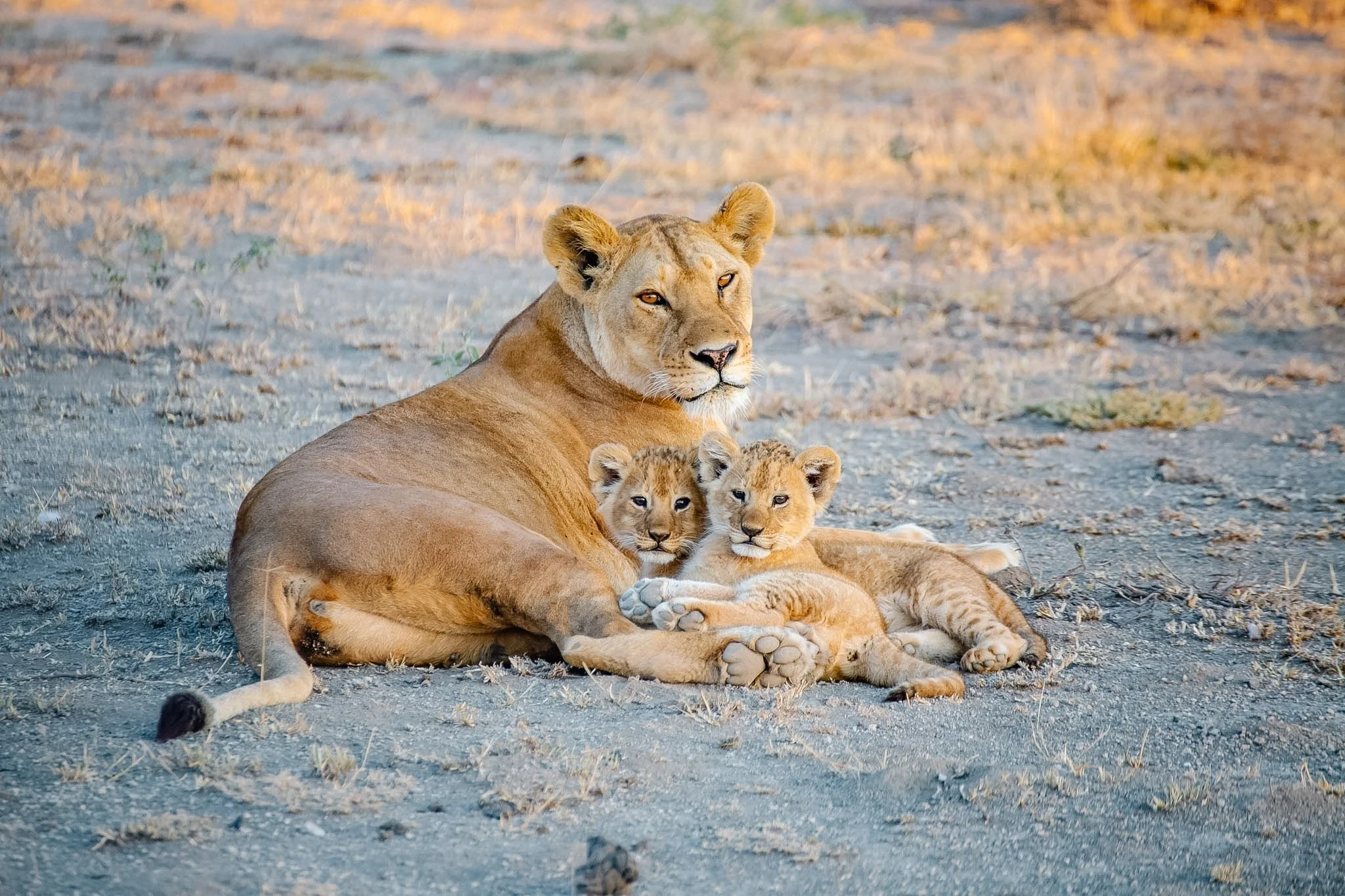 Tanzania