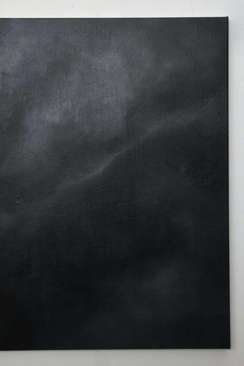 S T : P O | Oil on canvas | 92 x 115 x 3 cm | $2,200 incl. GST