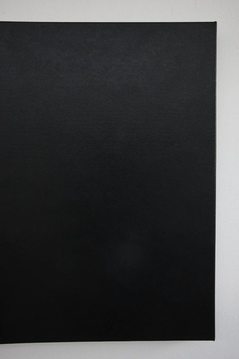 C S : P S E | Oil on canvas | 69.5 x 95 x 3.5 cm | $1,900 incl. GST