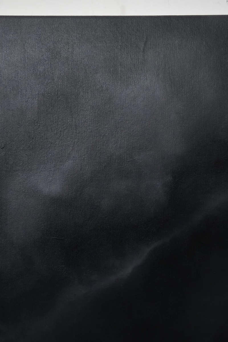 S T : P O | Oil on canvas | 92 x 115 x 3 cm | $2,200 incl. GST