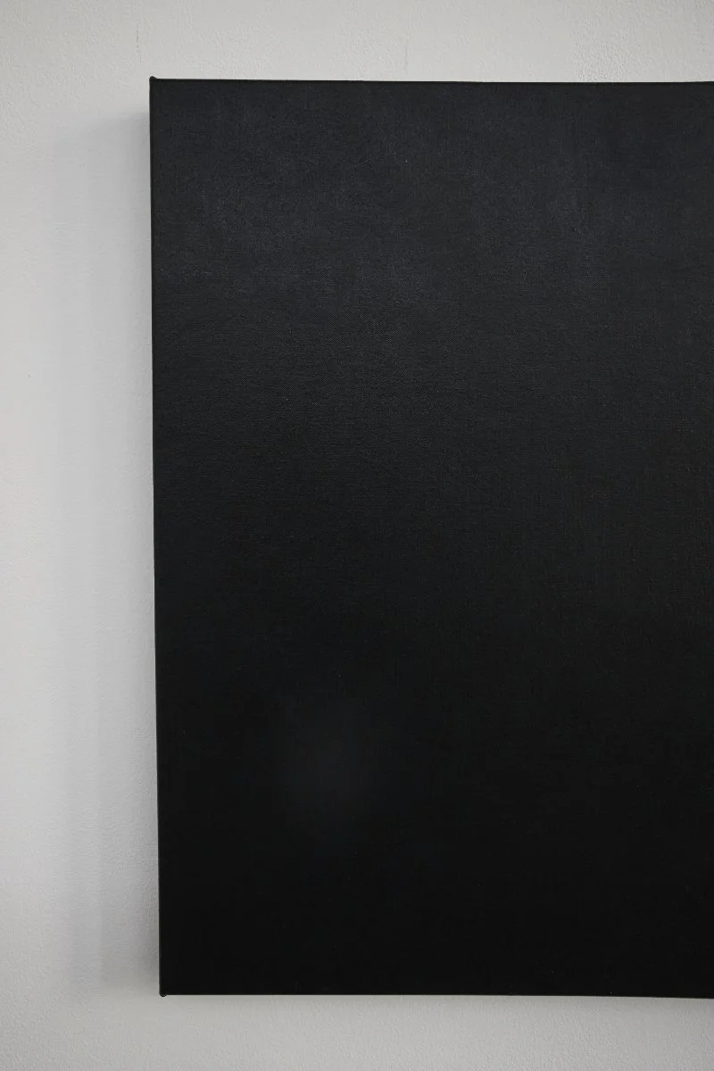 C S : P S E | Oil on canvas | 69.5 x 95 x 3.5 cm | $1,900 incl. GST