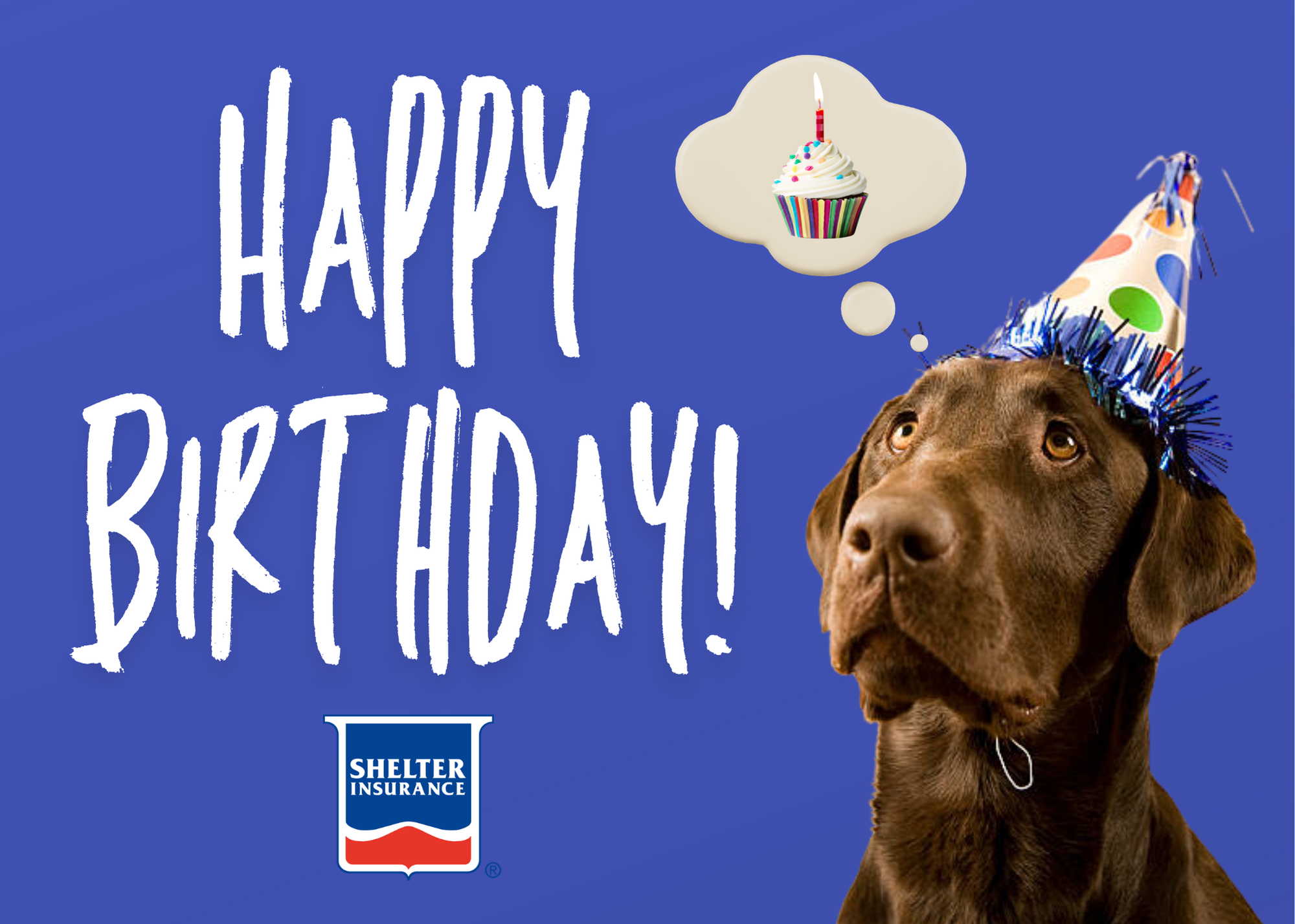 Birthday Card