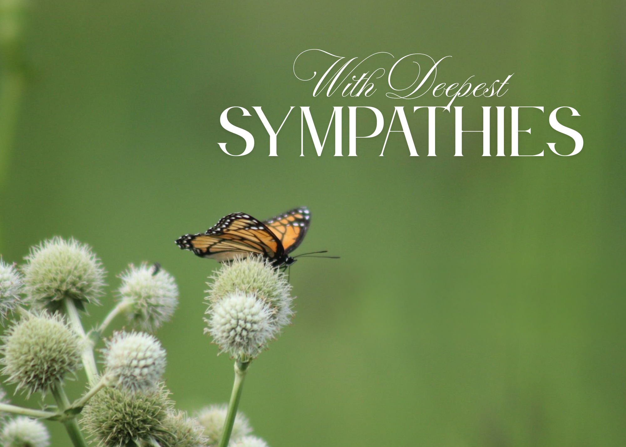 Sympathy Card