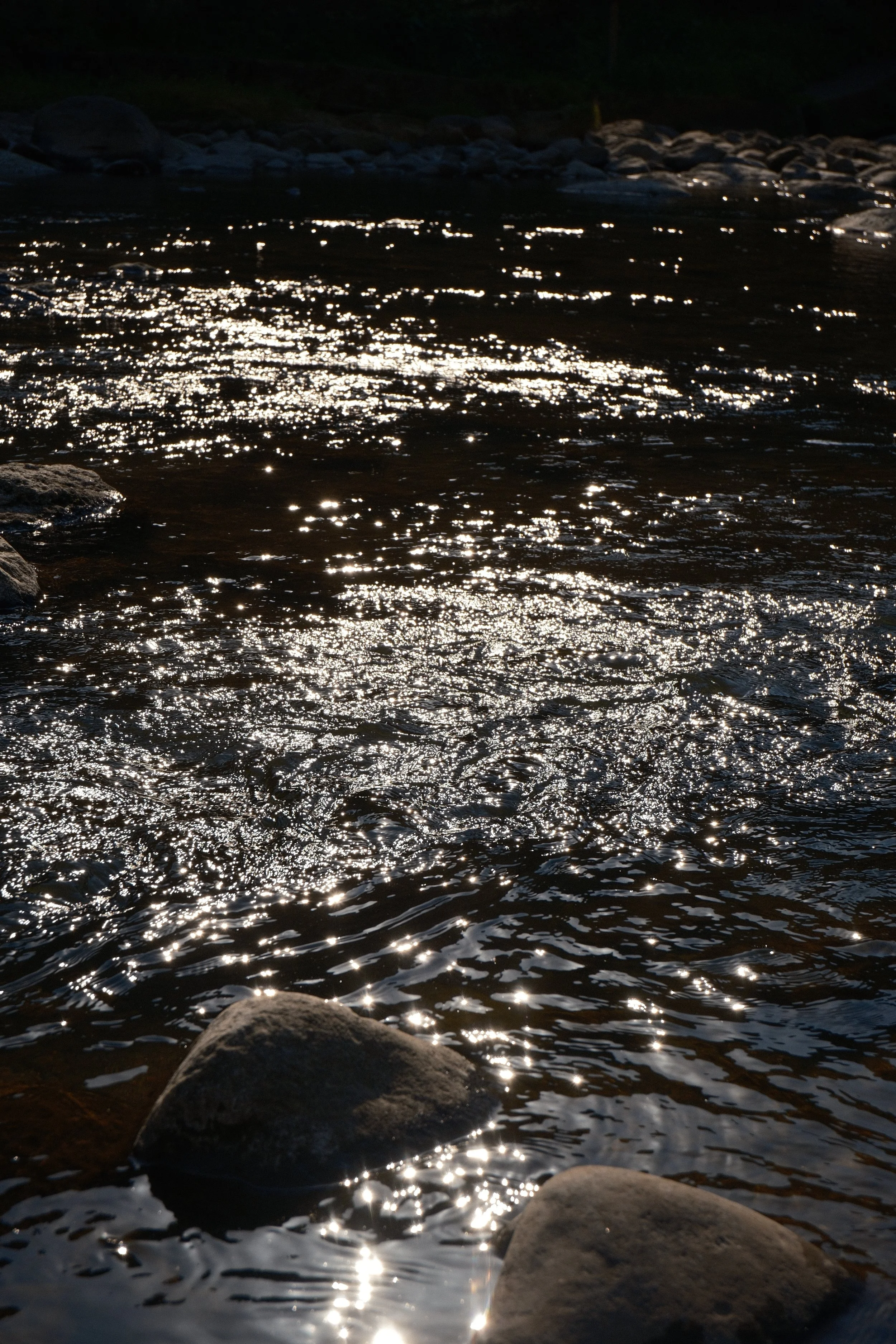 DSCF0374.JPG