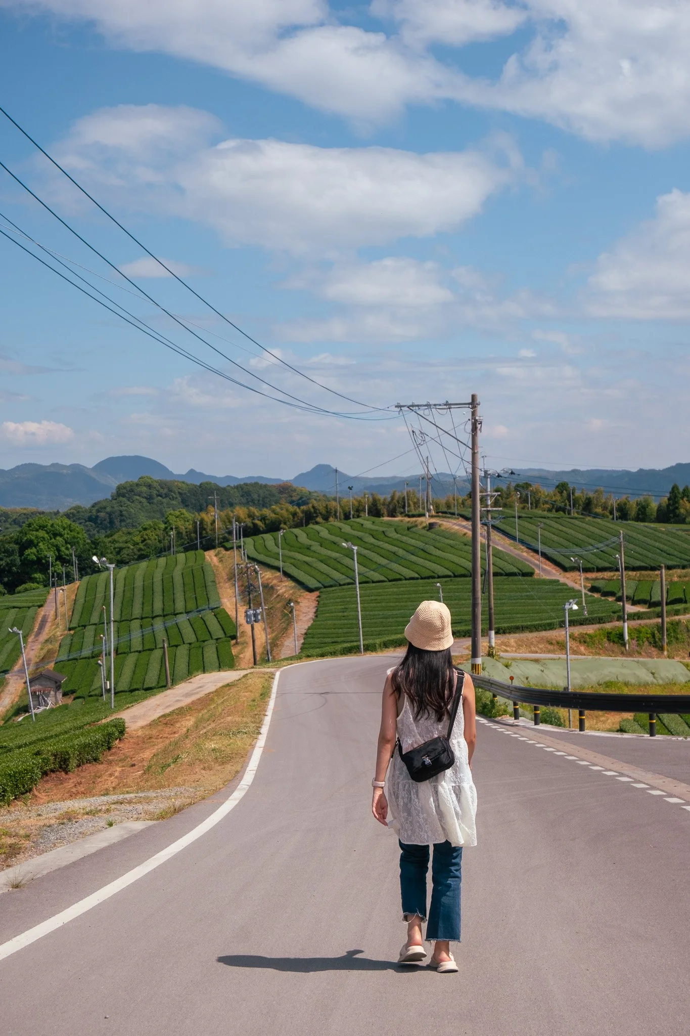 福岡の茶どころ・八女が、これから注目される理由