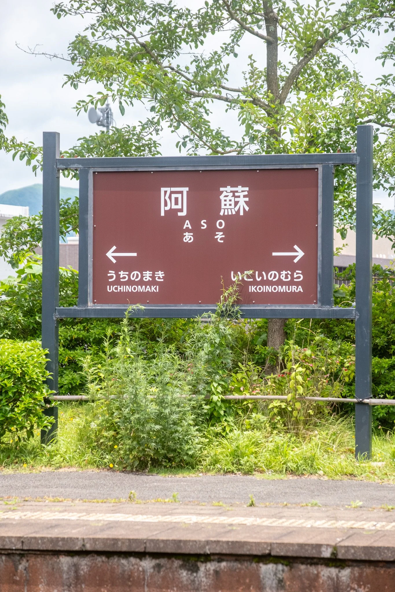 DSCF2932.jpg