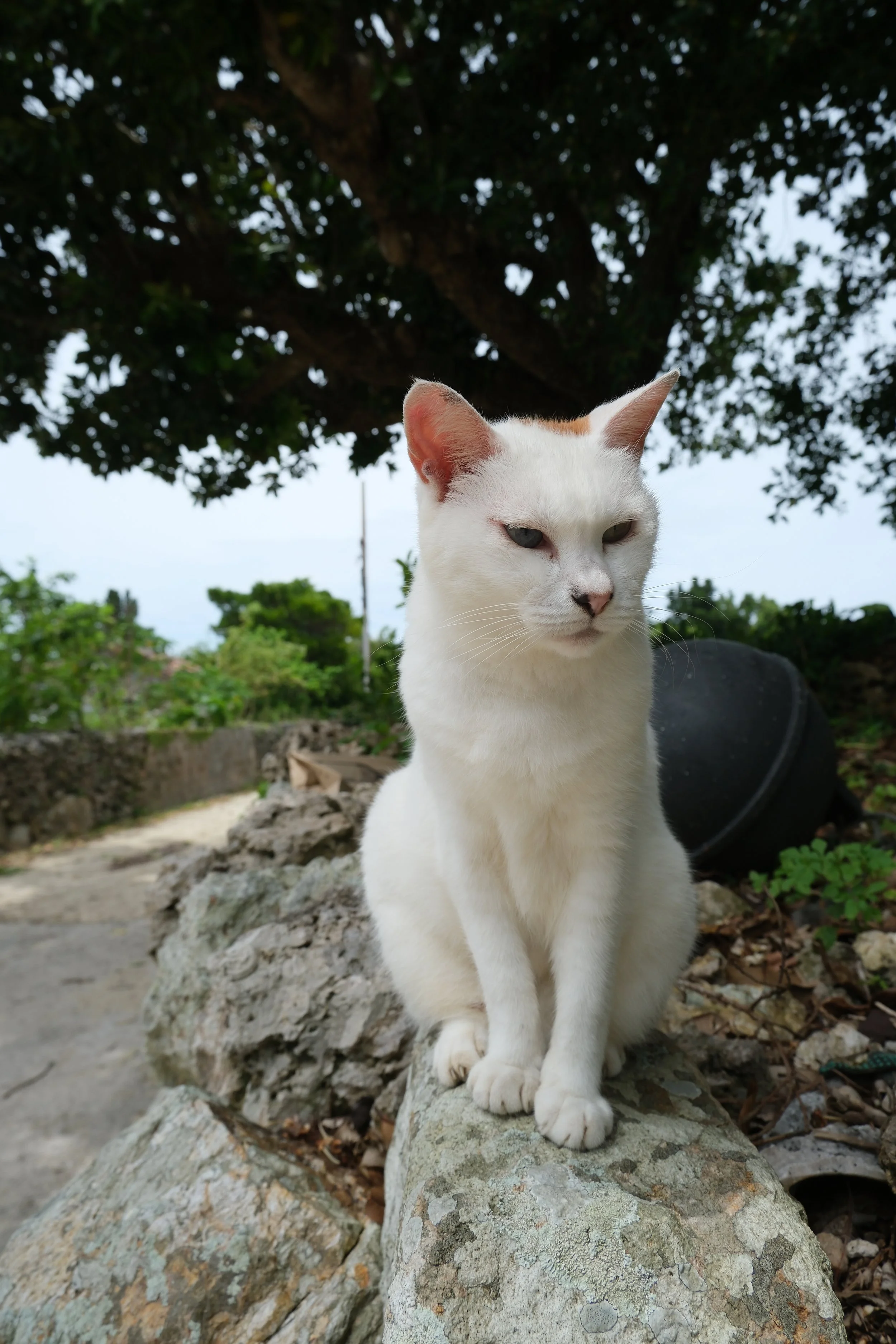 DSCF6591.JPG