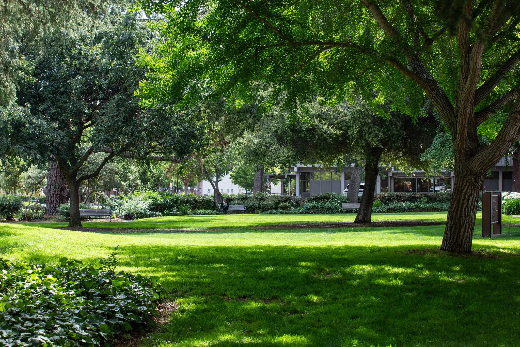 A lush, green park with large trees, a well-maintained lawn, and benches. There are buildings in the background, and one person is sitting on a bench.