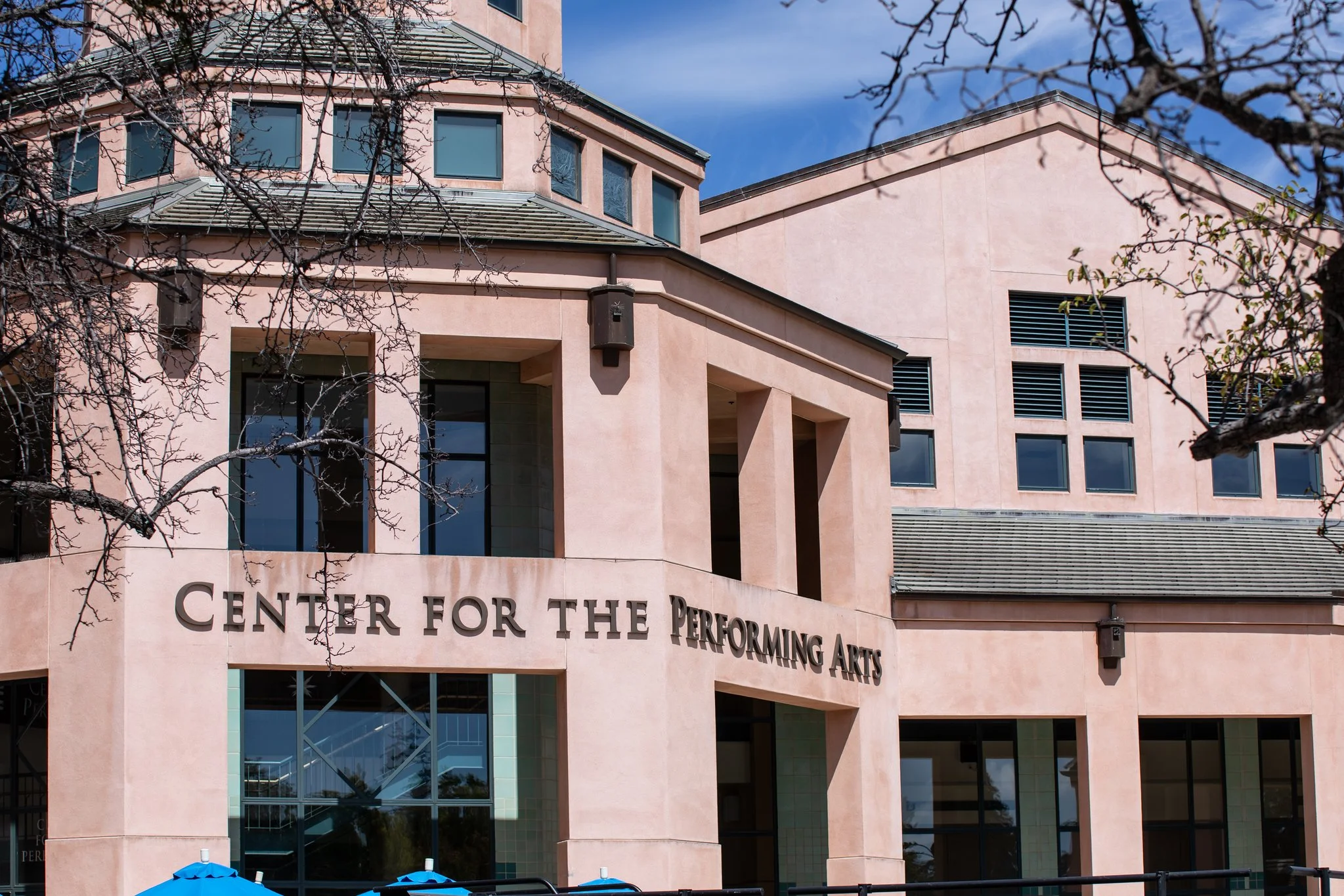 Pink building with sign reading 'Center for the Performing Arts' and leafless tree branches in foreground.