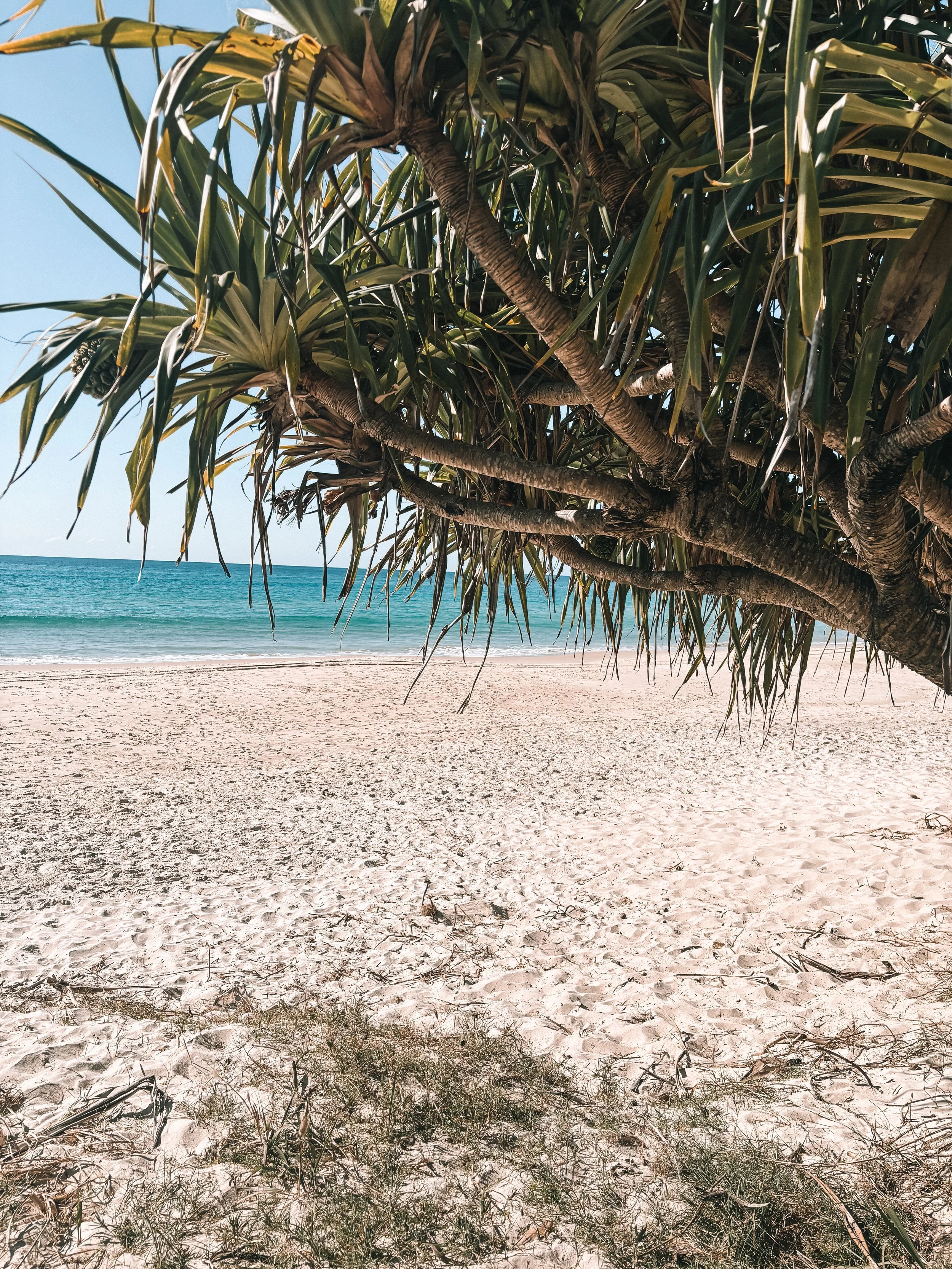 Coastal beach setting representing nature-based Positive Behaviour Support services for children, adolescents and young adults in a calm, outdoor environment.