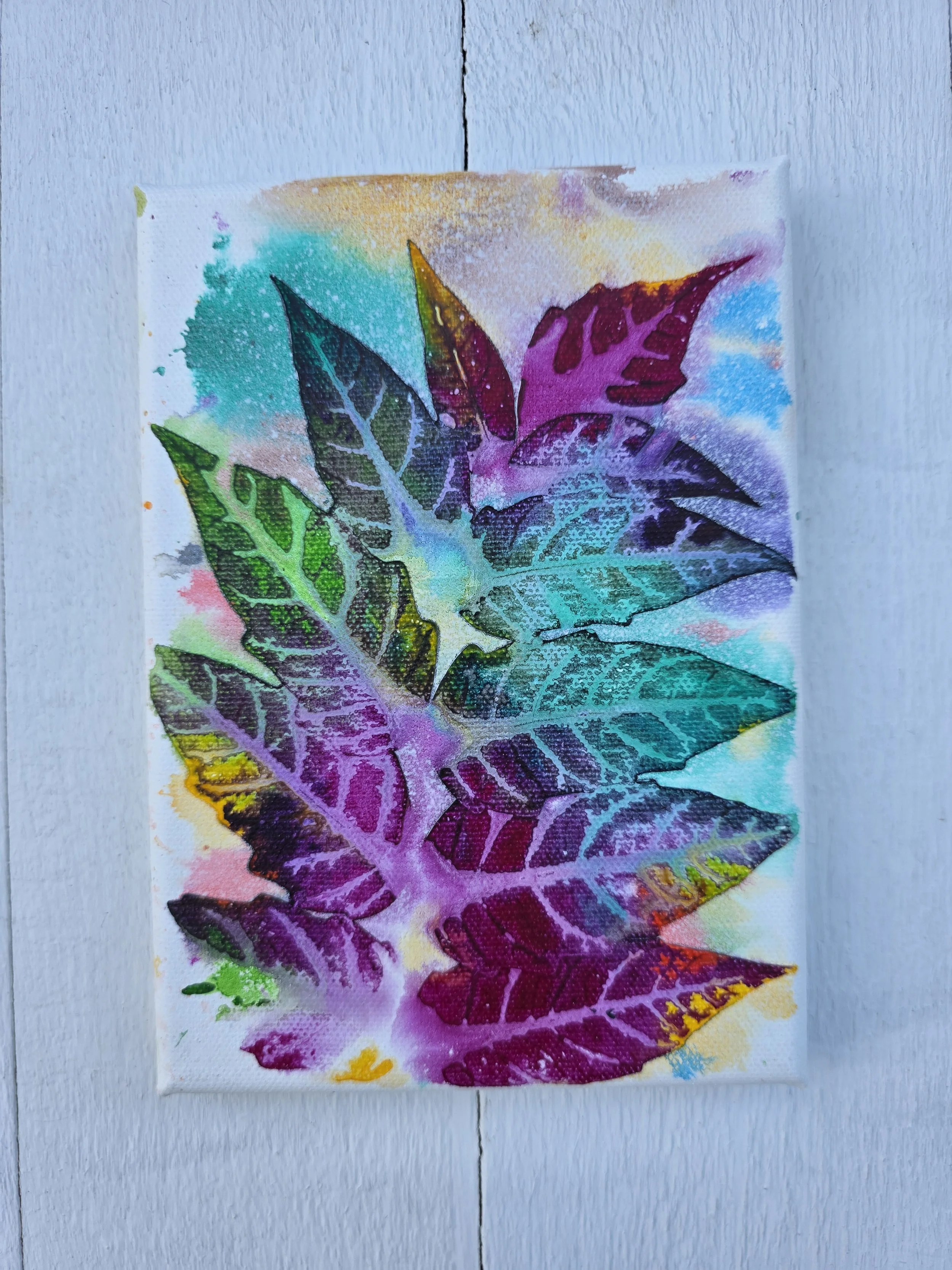 Red Violet and Viridian (2025 The Pure Leaf Collection)
• Dimensions: 5" x 7" Original Print
• Medium: Genuine organic leaf print on premium stretched canvas.
• Price: $18.86 (Includes California Sales Tax)
About the Artwork:
Part of the minimalist P