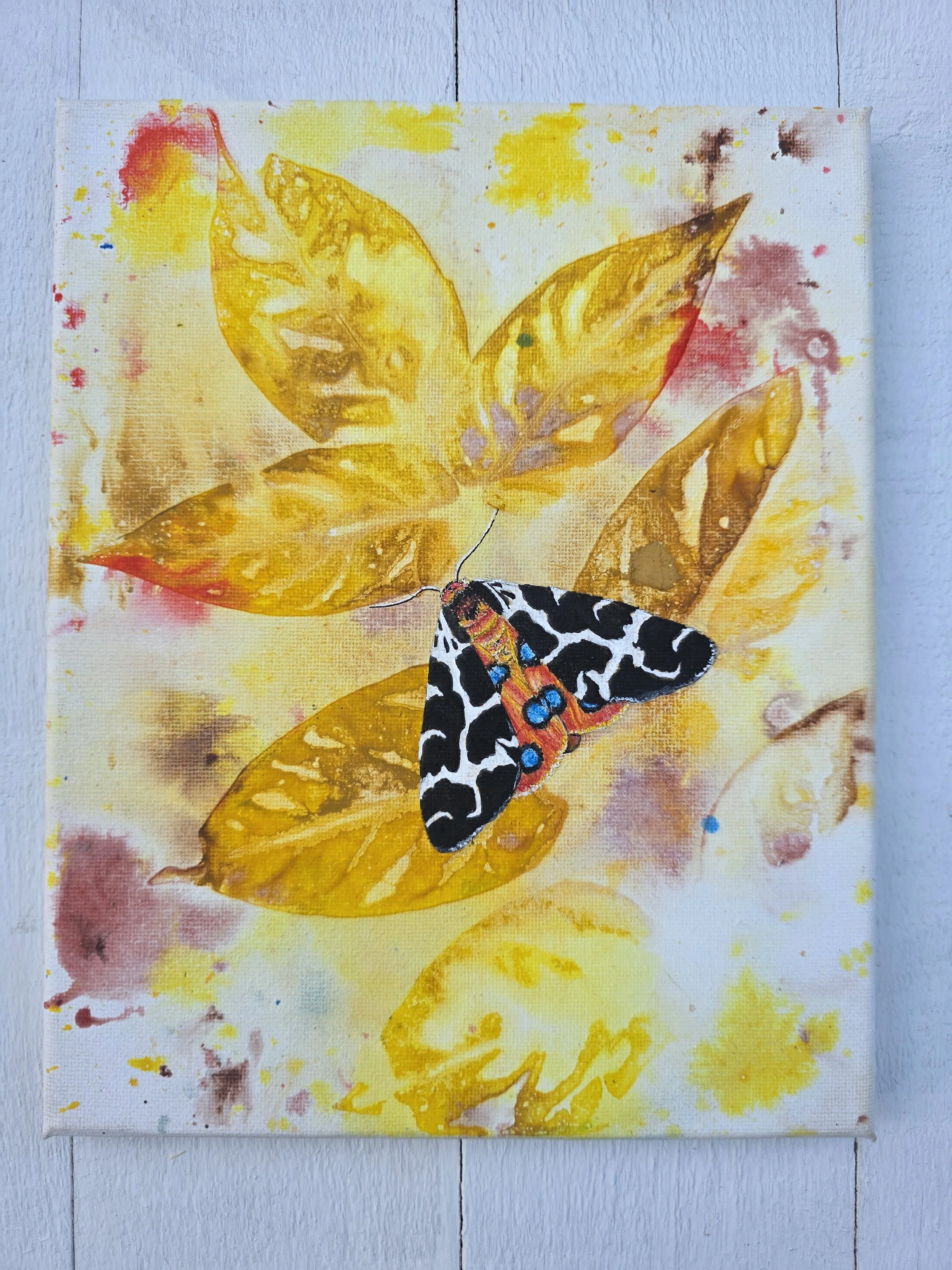 Garden Tiger Moth on Yellow (2023 Signature Collection)
• Dimensions: 8” x 10” Premium Original Mixed Media
• Medium: Real leaf print painting with moth painting layered on stretched canvas.
• Price: $86.20 (Includes California Sales Tax)
About the A