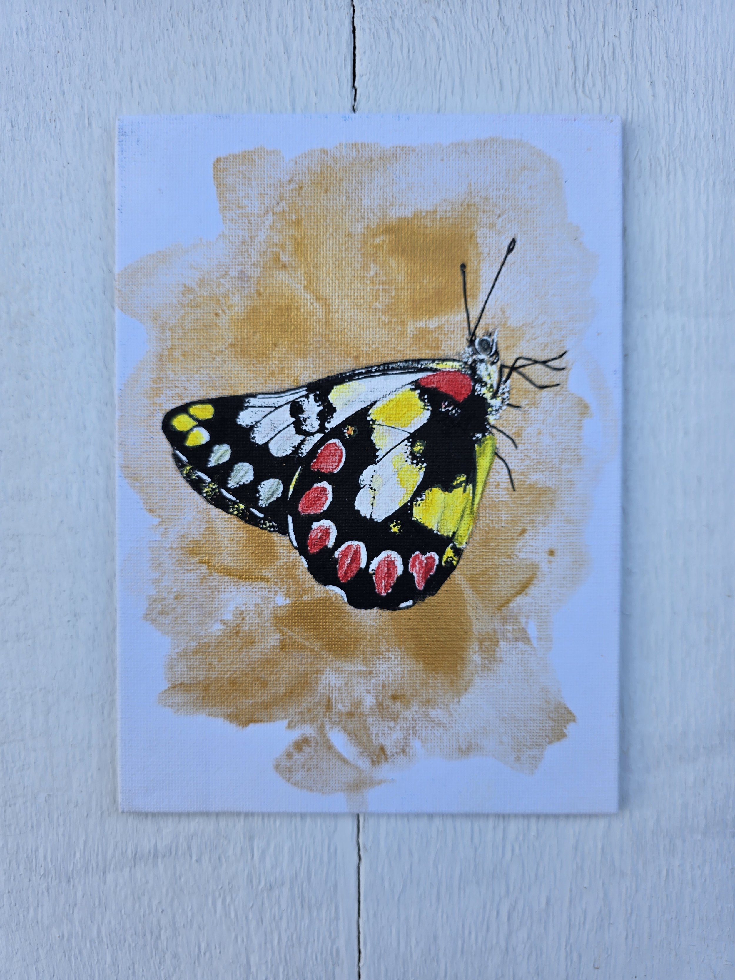 Red, Yellow Black Butterfly (2023 Signature Collection)
• Dimensions: 5” x 7” Premium Original Mixed Media
• Medium: Acrylic painting with representational butterfly in acrylic on canvas panel.
• Price: $37.71 (Includes California Sales Tax)
About th