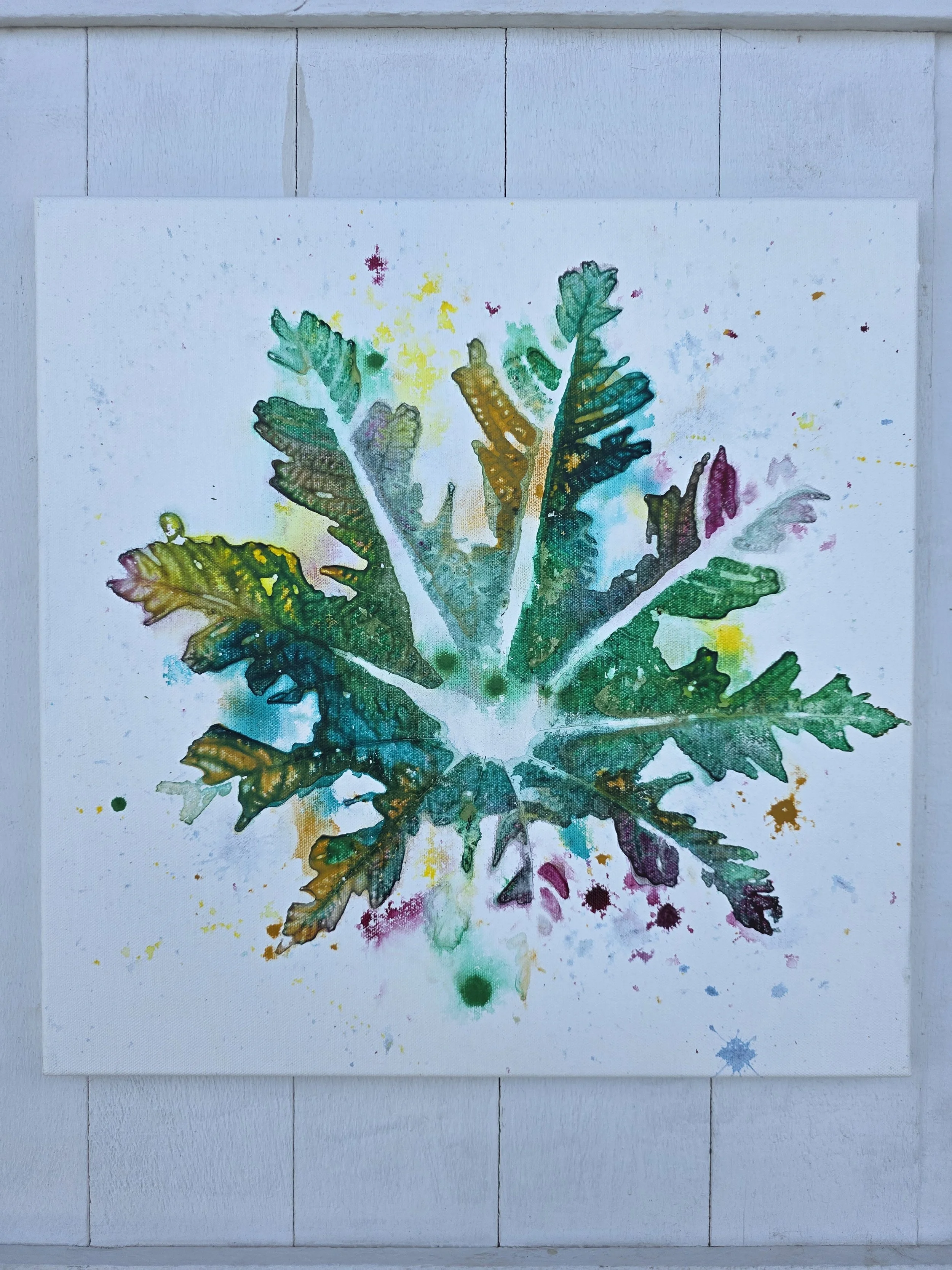 Green Castor (2025 The Pure Leaf Collection)
• Dimensions: 16” x 16” Original Print
• Medium: Genuine organic ink leaf print on gallery wrapped canvas.
• Price: $137.92 (Includes California Sales Tax)
About the Artwork:
Part of the minimalist Pure Le