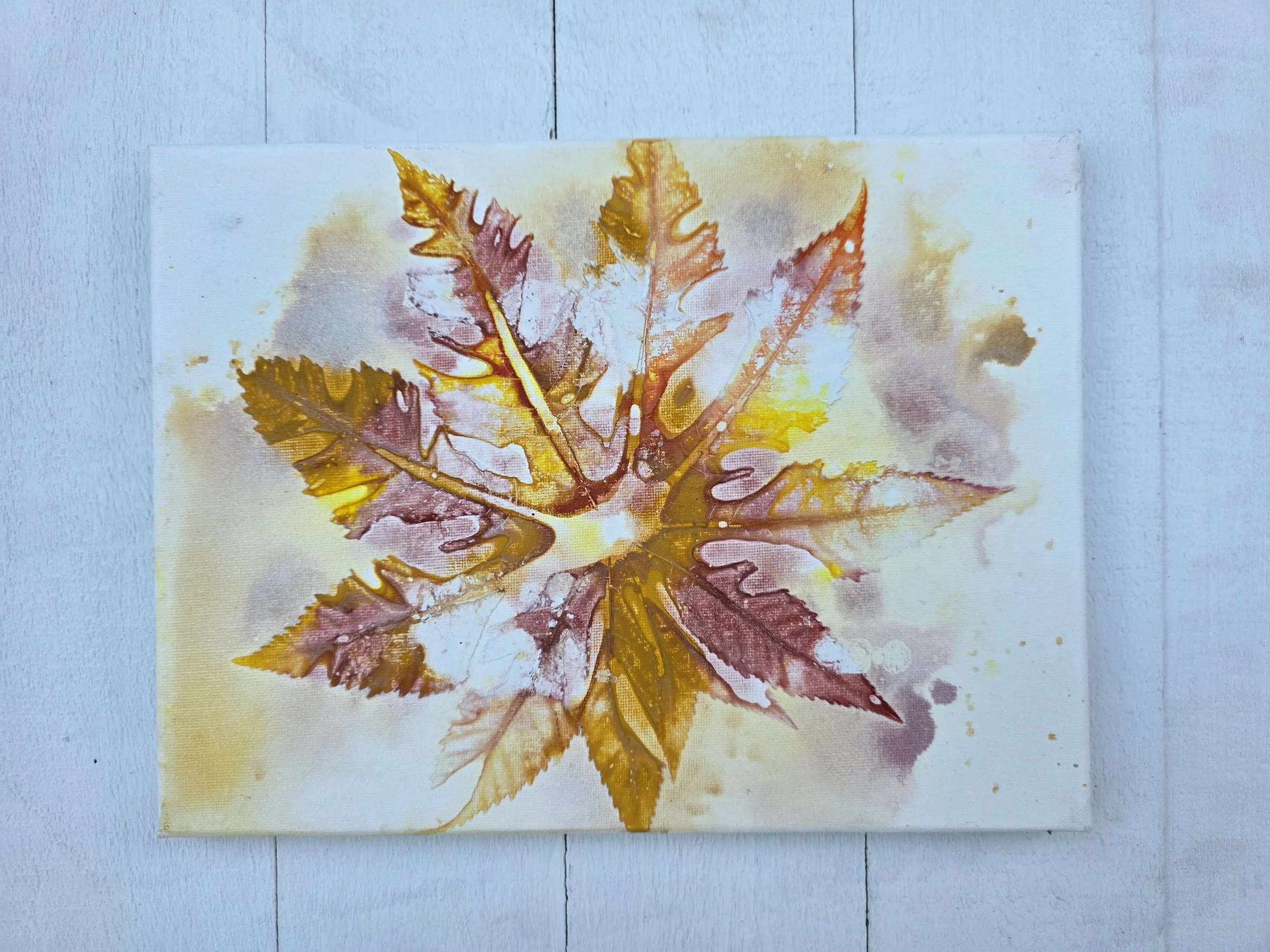 Yellow Ochre Castor (2023 The Pure Leaf Collection)
• Dimensions: 9” x 12” Original Print
• Medium: Genuine organic leaf print on stretched canvas.
• Price: $58.19 (Includes California Sales Tax)
About the Artwork:
Part of the minimalist Pure Leaf Co