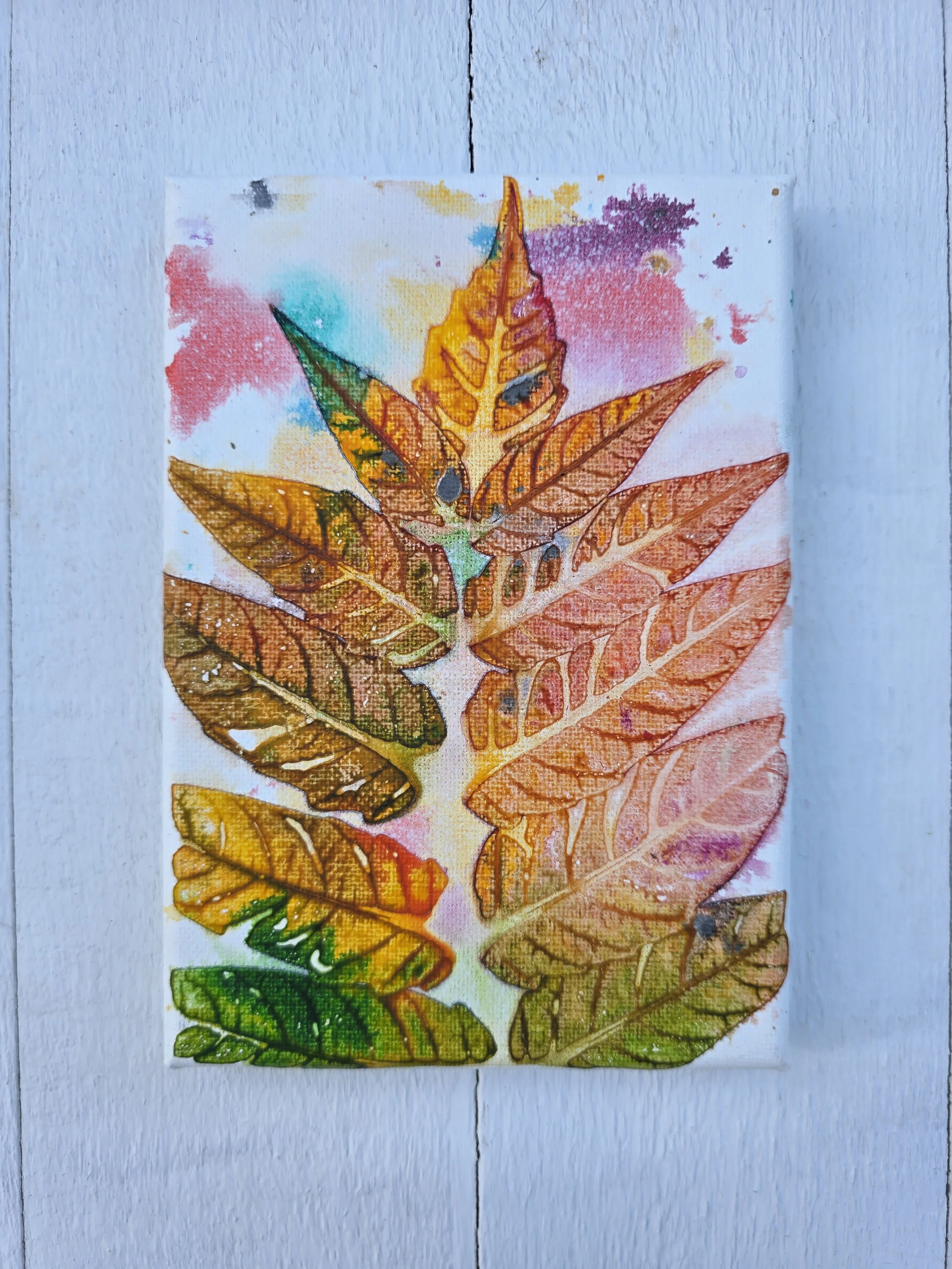 Orange Leaves (2025 Pure Leaf Collection)
• Dimensions: 5" x 7" Original Print
• Medium: Genuine organic leaf print on premium stretched canvas.
• Price: $18.86 (Includes California Sales Tax)
About the Artwork:
Part of the minimalist Pure Leaf Colle