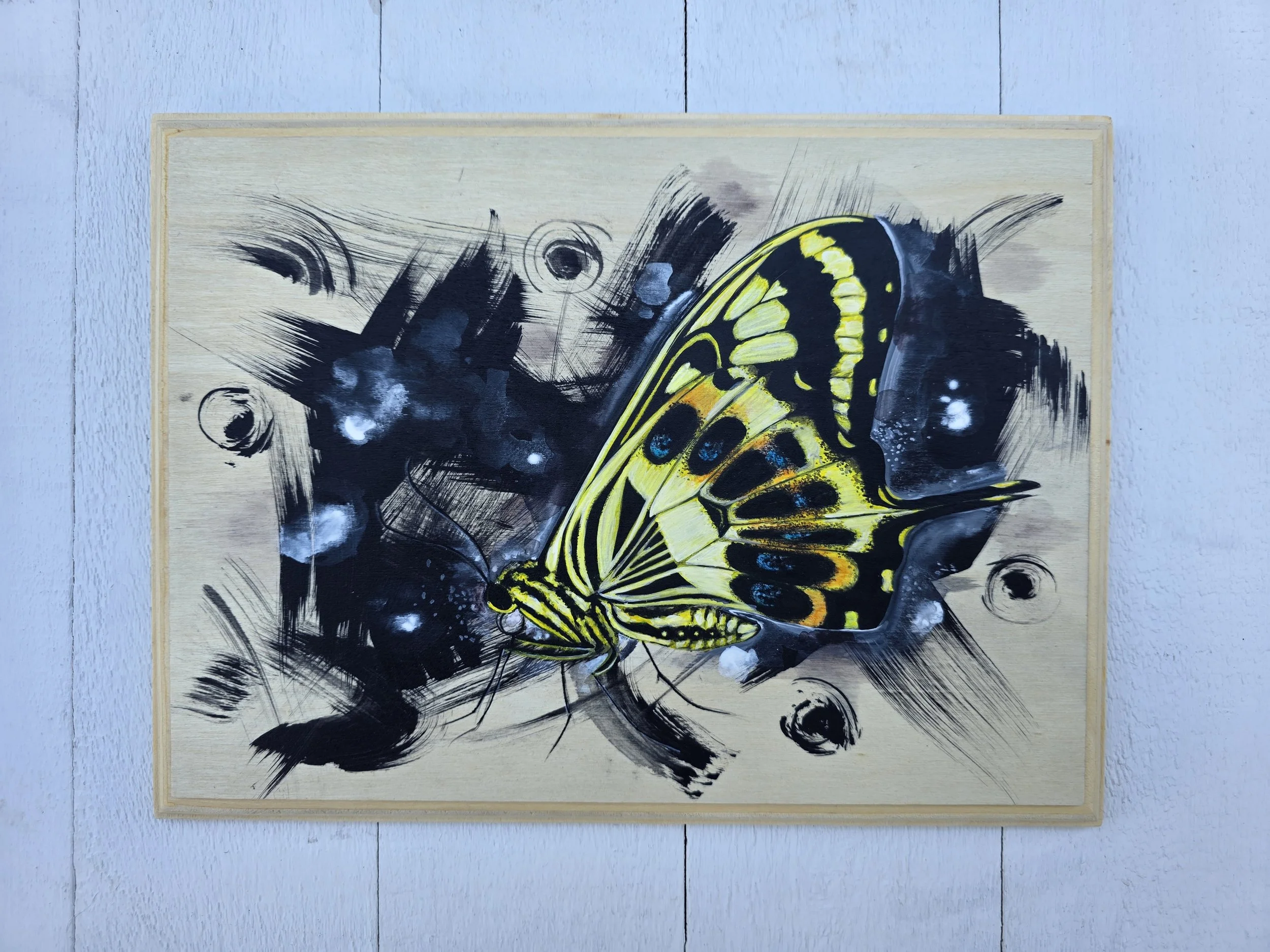 Swallowtail on Wood (2025 The Signature Collection)
• Dimensions: 9” x 12” Premium Original Mixed Media
• Medium: Mixed media painting with representational swallowtail layering on raw wood panel. (No framing necessary)
• Price: $116.37 (Includes Cal
