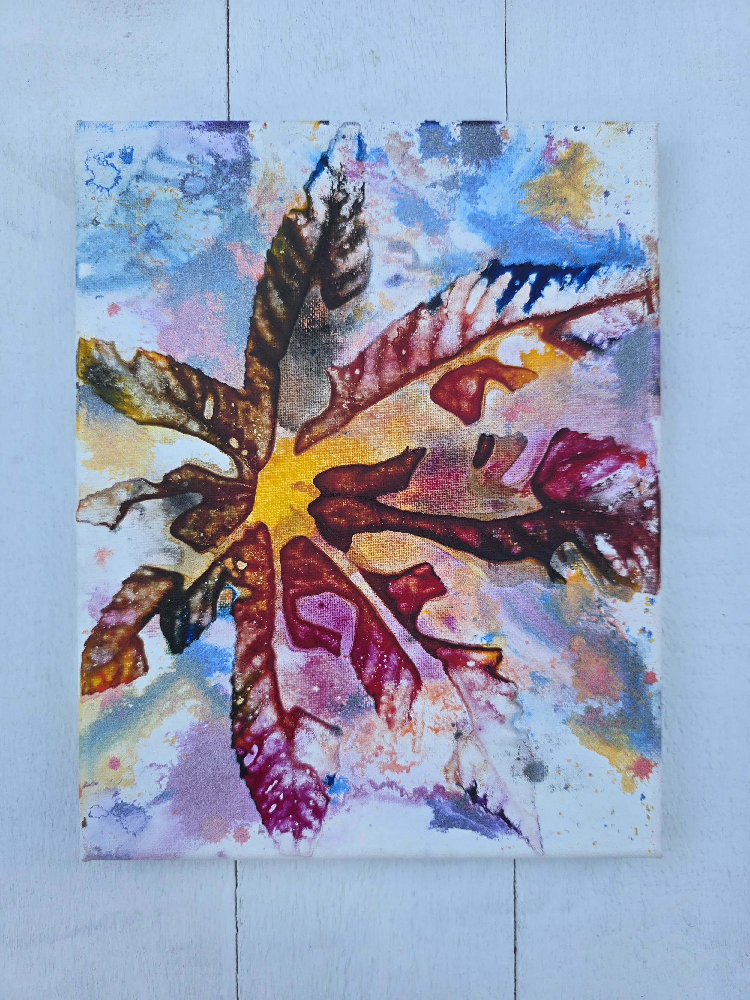 Red Castor 2022 (The Pure Leaf Collection)
• Dimensions: 8” x 10” Original Print
• Medium: Genuine organic leaf print on stretched canvas.
• Price: $43.10 (Includes California Sales Tax)
About the Artwork:
Part of the minimalist Pure Leaf Collection,