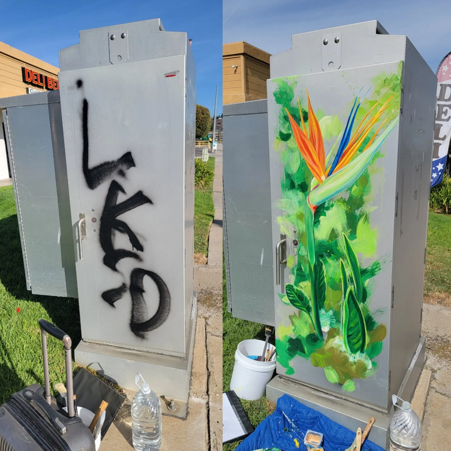 Graffiti Cover Up 2023