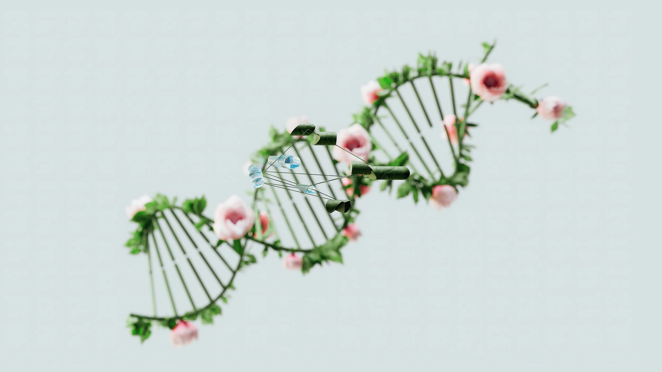 A DNA double helix structure composed of green leaves and pink flowers, with small blue water droplet decorations, set against a plain light background.