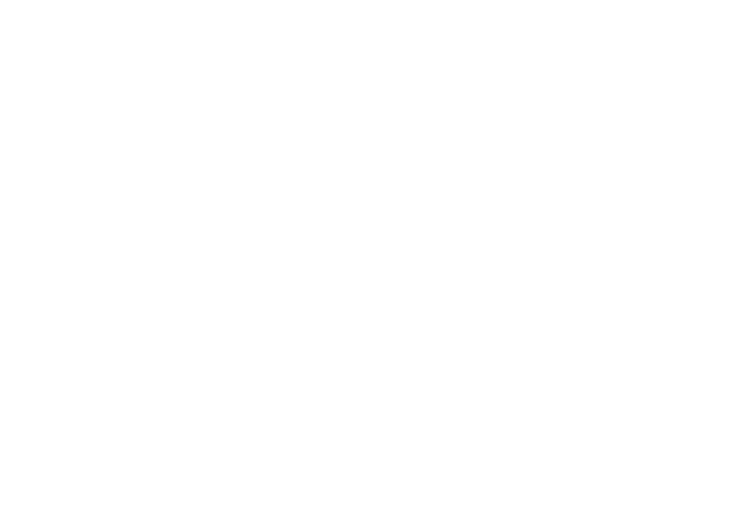 Roam Travels
