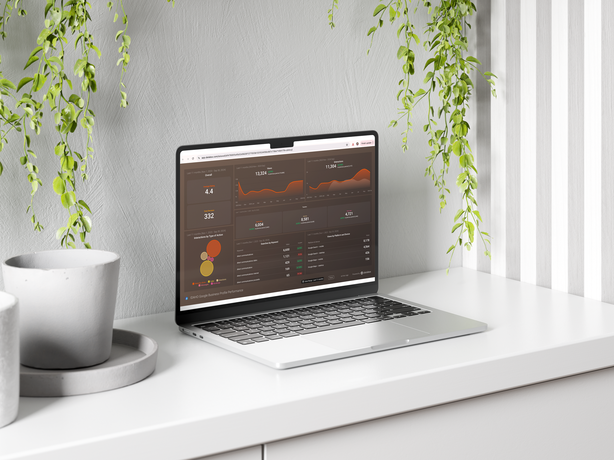Laptop displaying data analytics dashboard on a white desk with green hanging plants and white wall with vertical blinds in background.