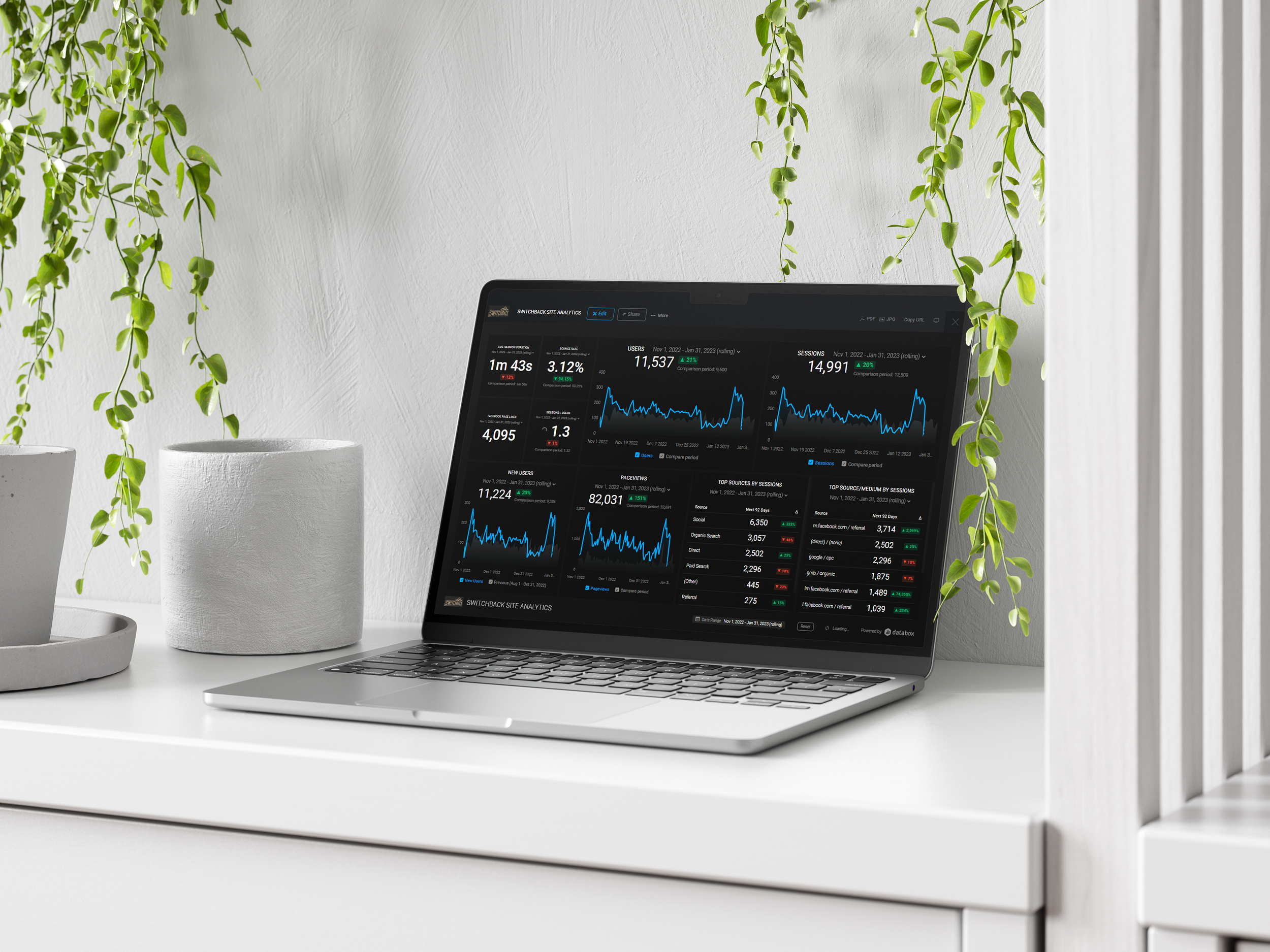 Laptop on a white desk displaying website analytics, with hanging green plants and an empty white pot nearby.