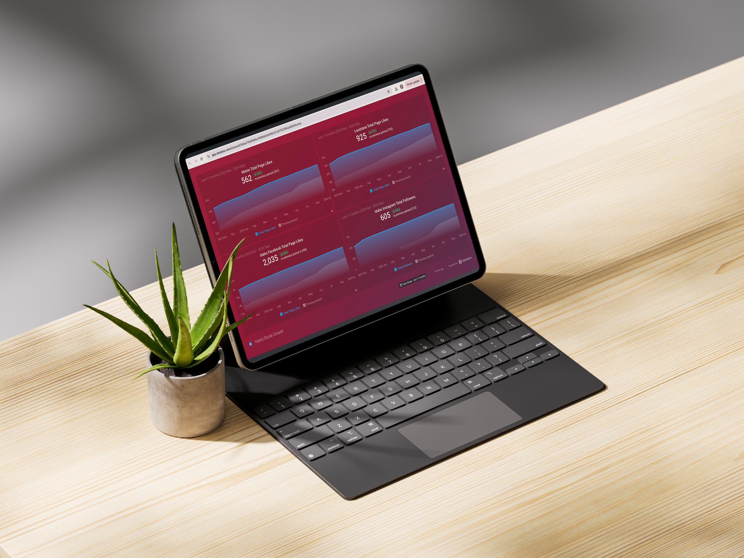 A tablet with a keyboard case displaying social media analytics graphs on a desk. Next to the tablet is a potted aloe vera plant on a light-colored wooden table.